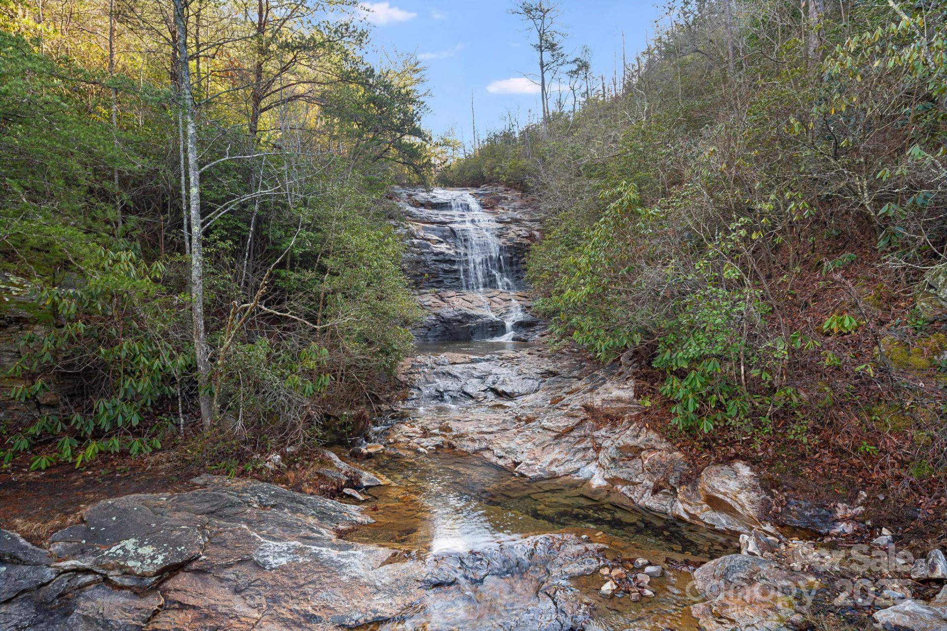 000 Fox Ridge Trail #17 - Photo 3