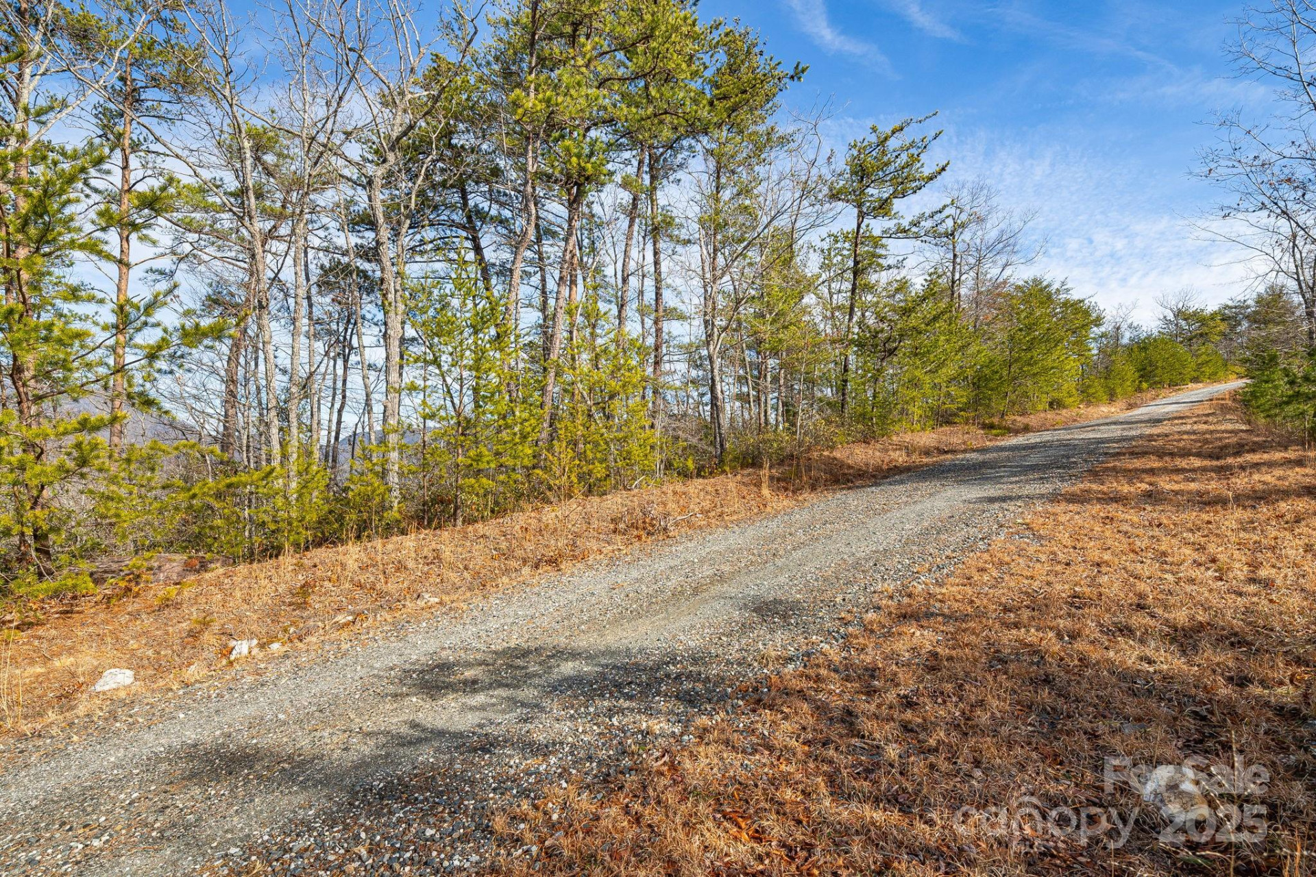 000 Fox Ridge Trail #17 - Photo 4