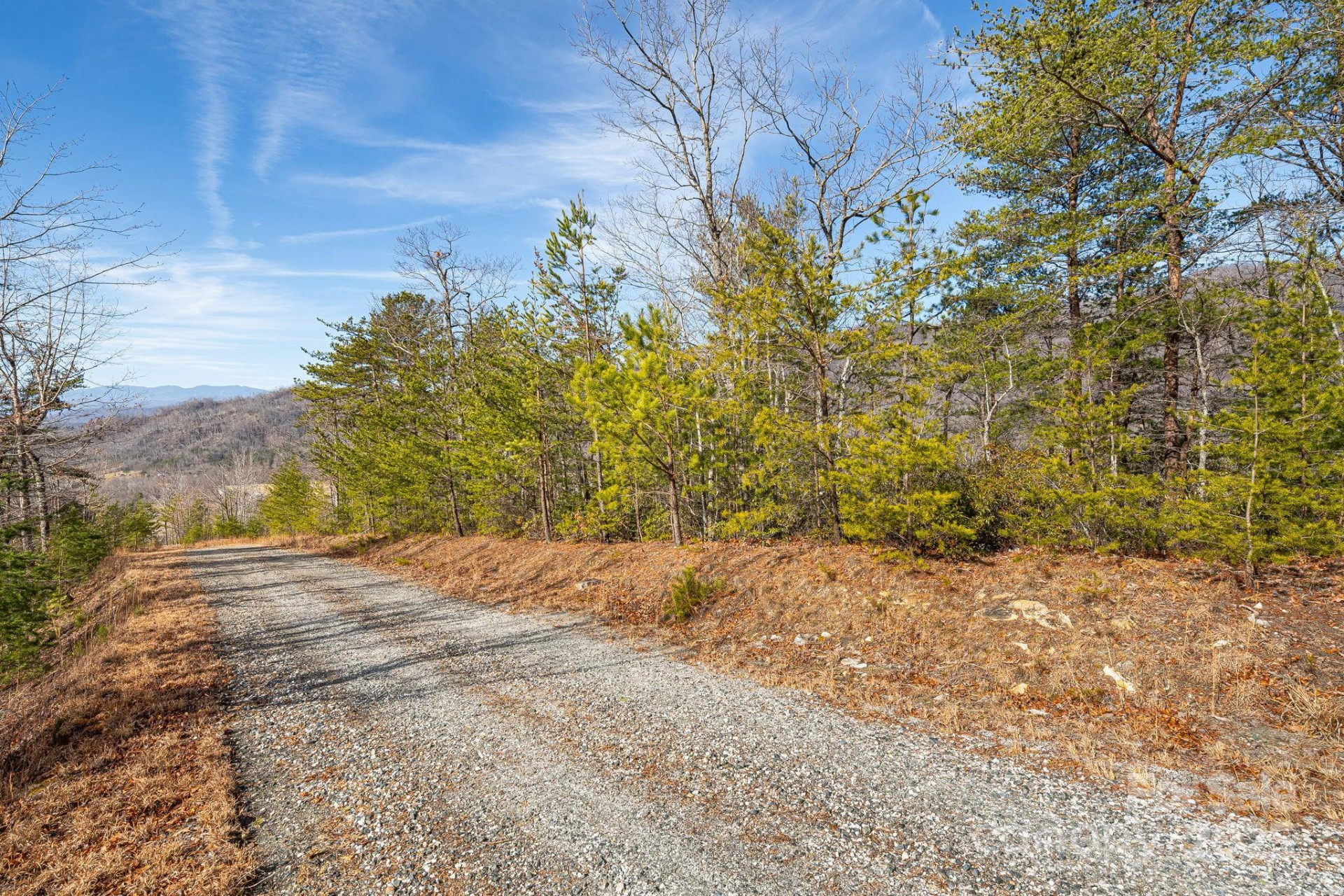 000 Fox Ridge Trail #17 - Photo 5