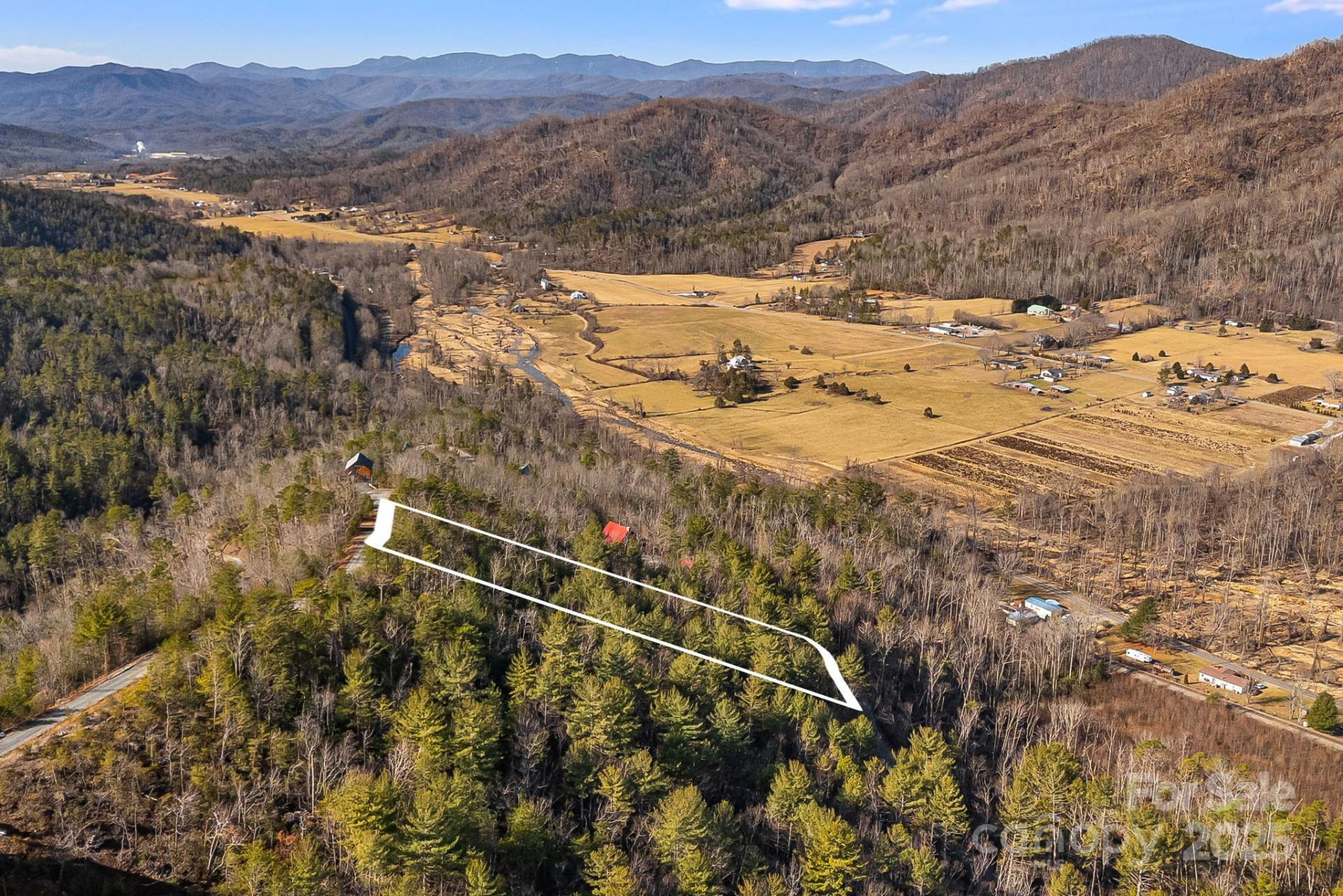 000 Fox Ridge Trail #17 - Photo 6