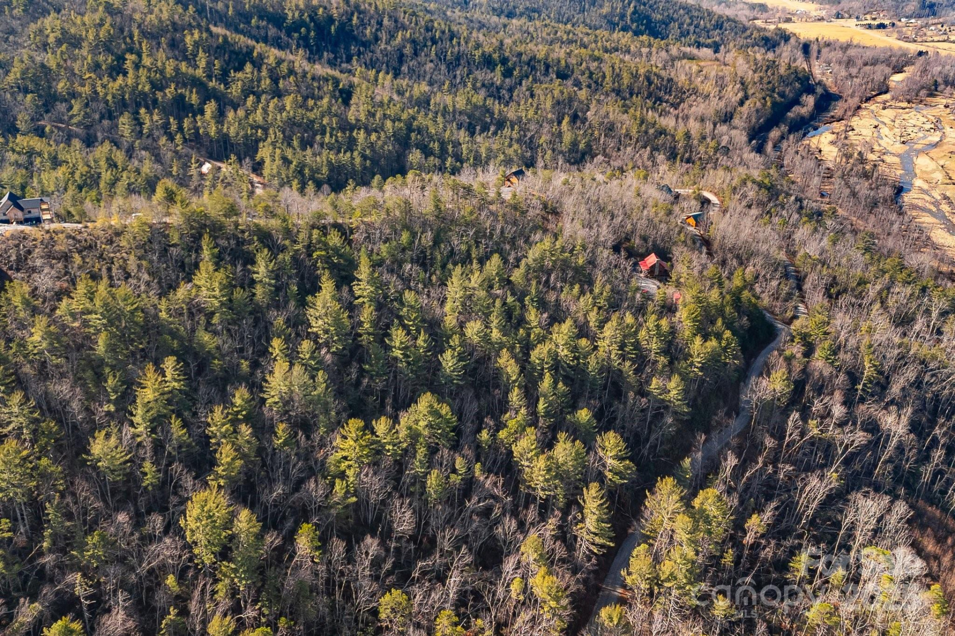 000 Fox Ridge Trail #17 - Photo 9