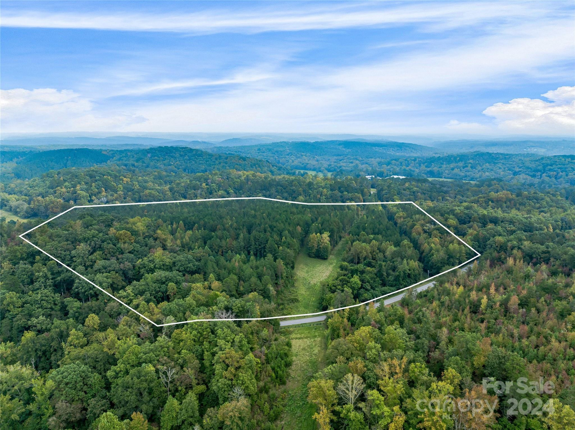 +/- 53 acres John Watson Road - Photo 12