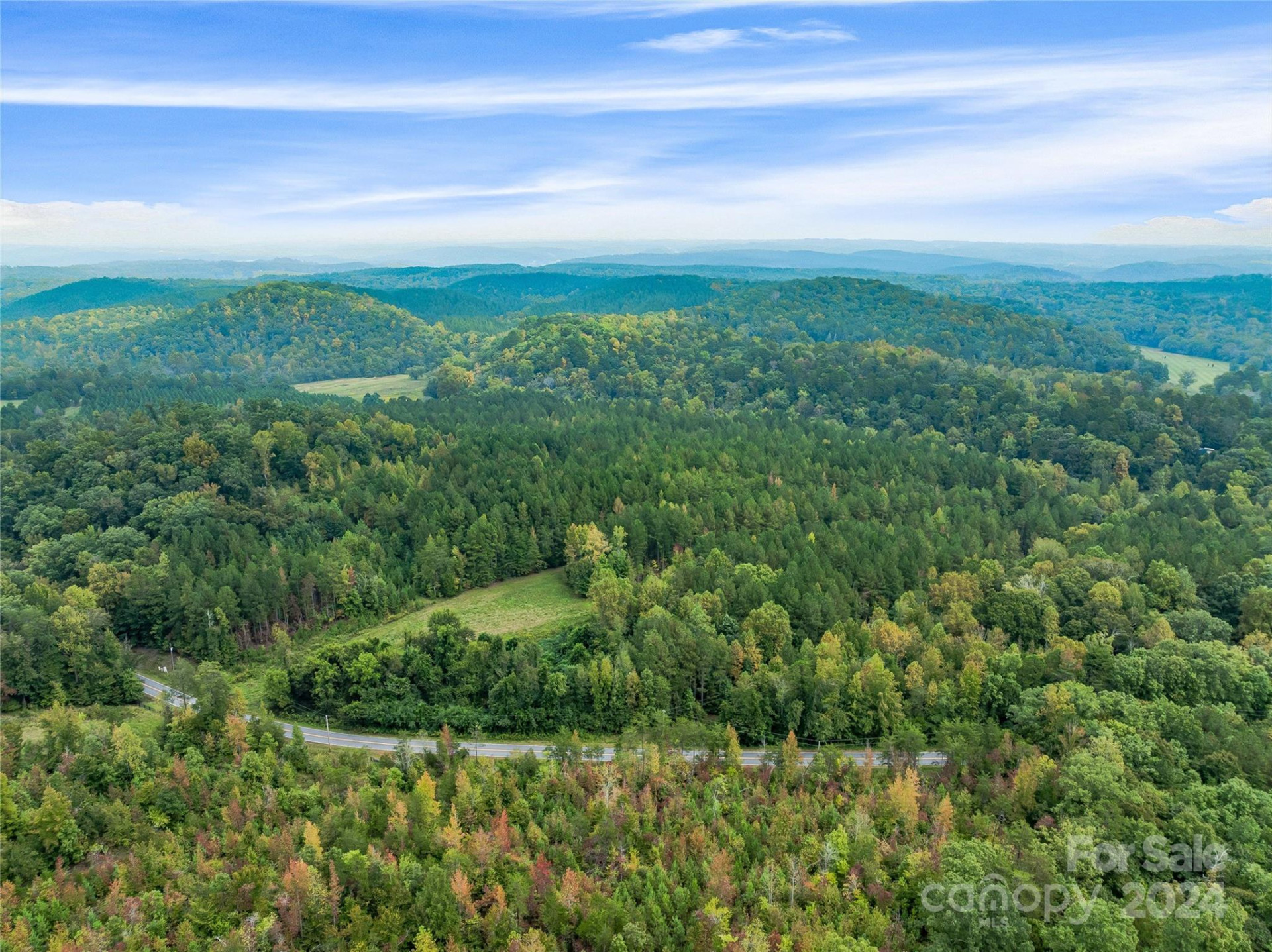 +/- 53 acres John Watson Road - Photo 14