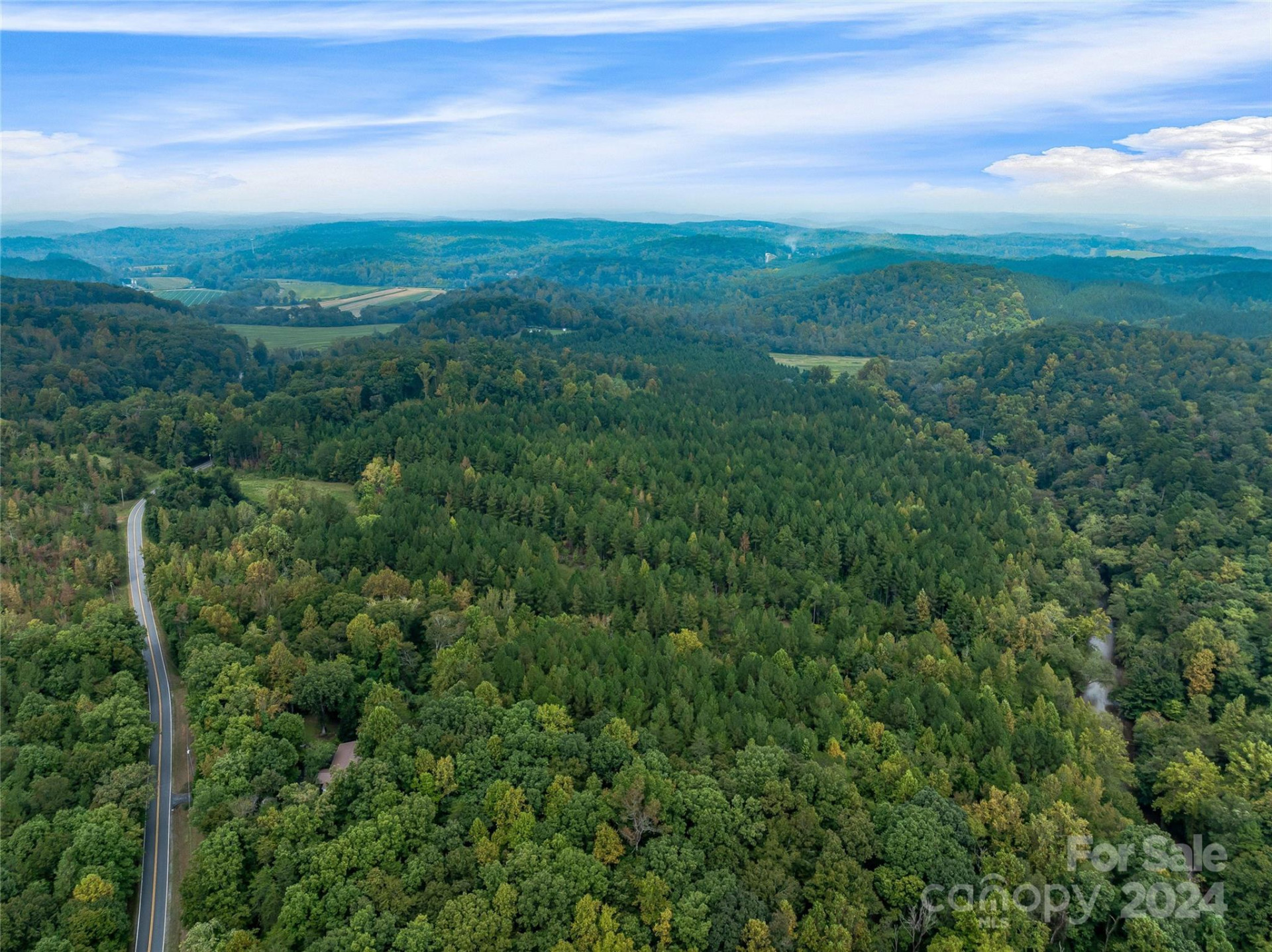 +/- 53 acres John Watson Road - Photo 15