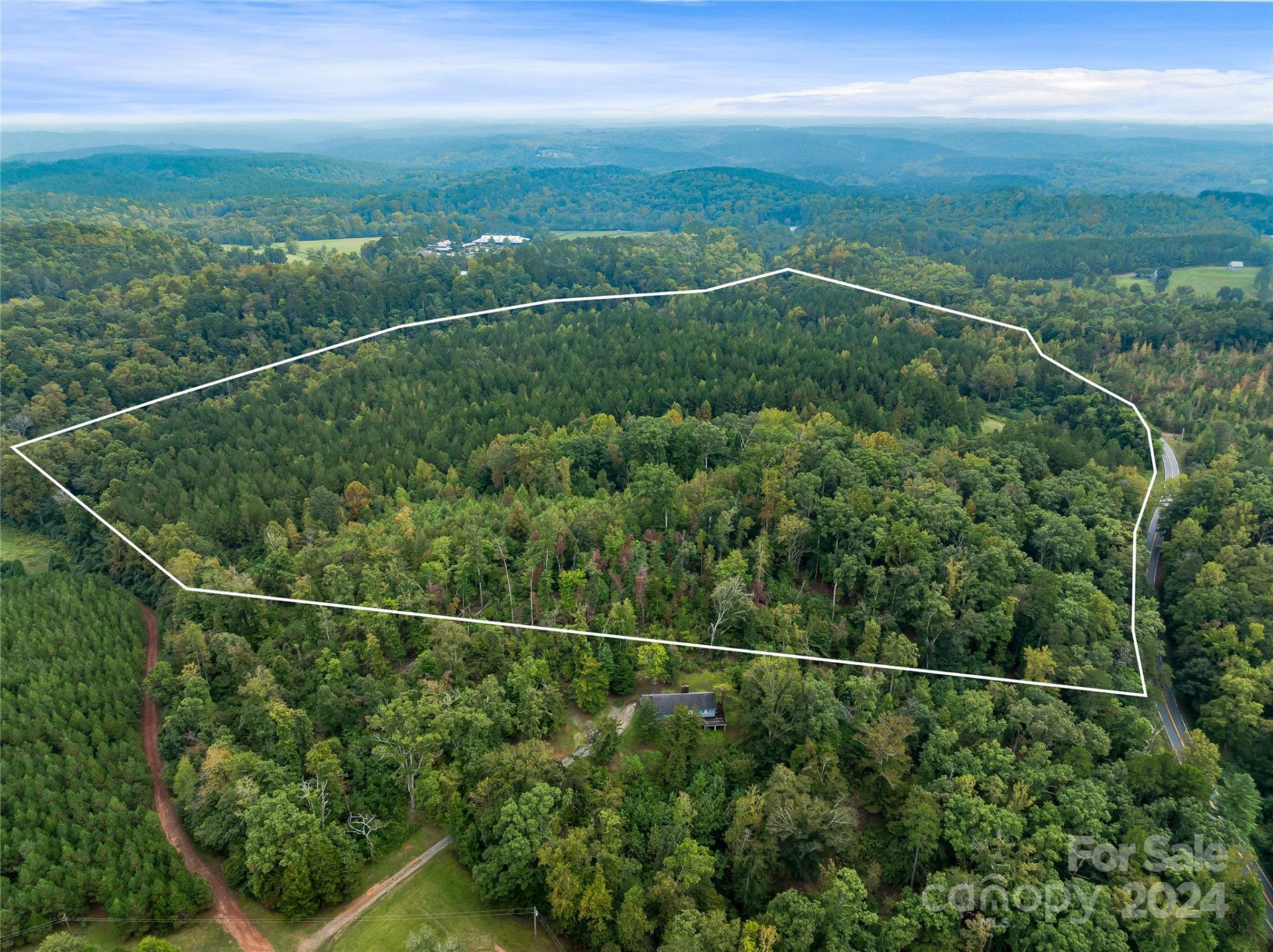 +/- 53 acres John Watson Road - Photo 17