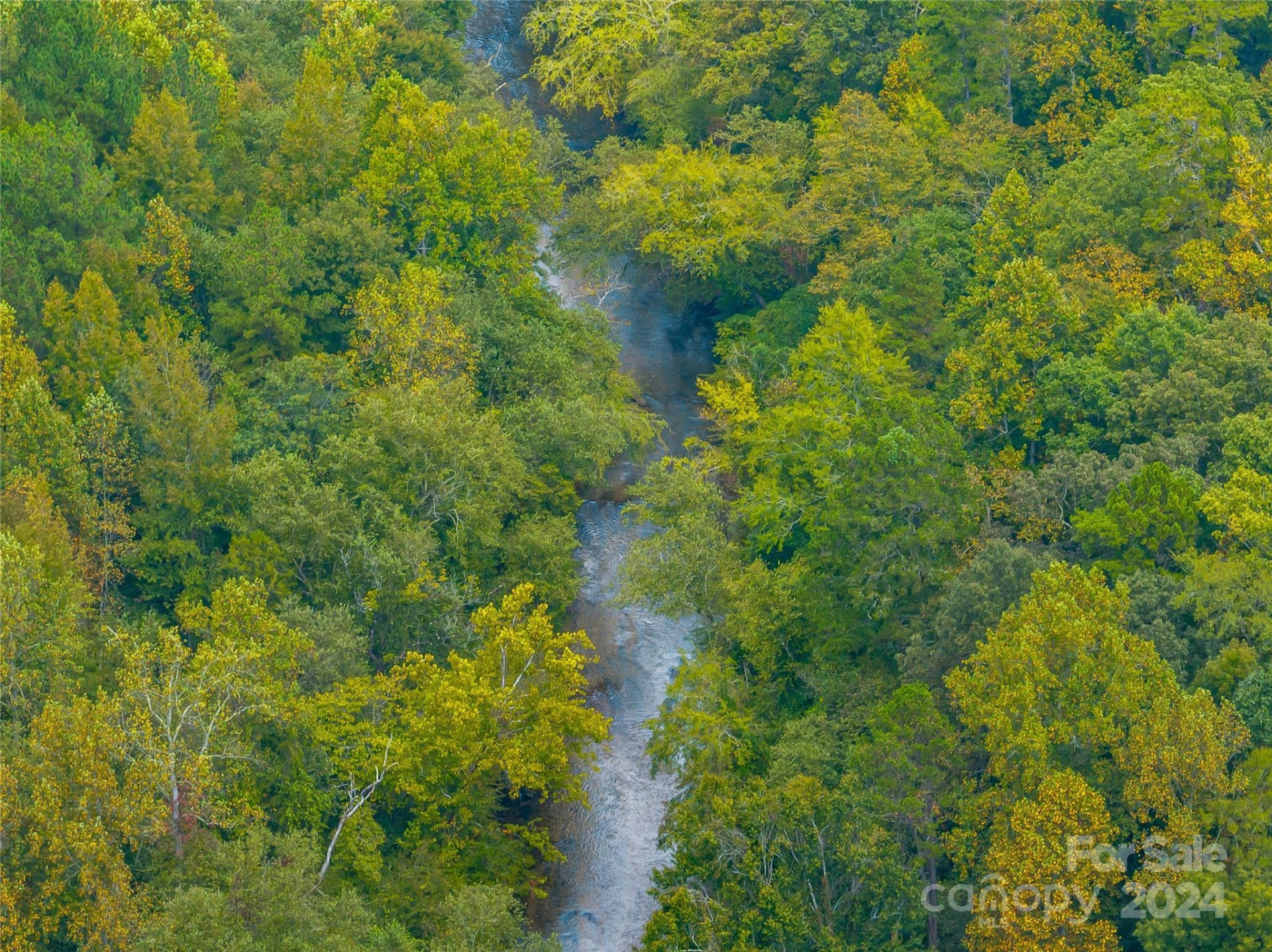 +/- 53 acres John Watson Road - Photo 3