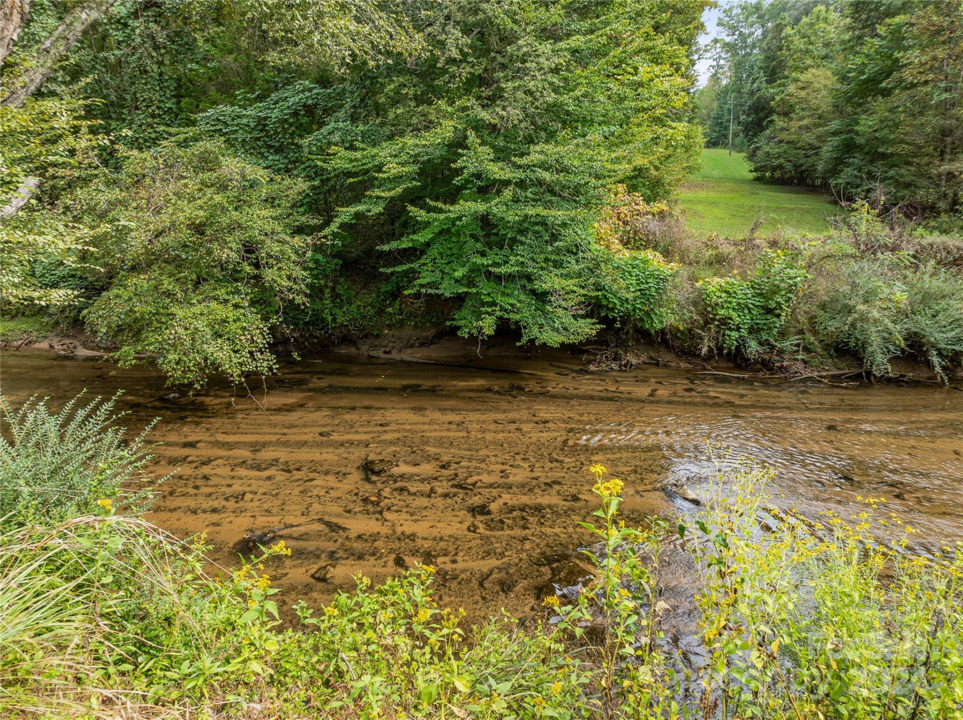 +/- 53 acres John Watson Road - Photo 4