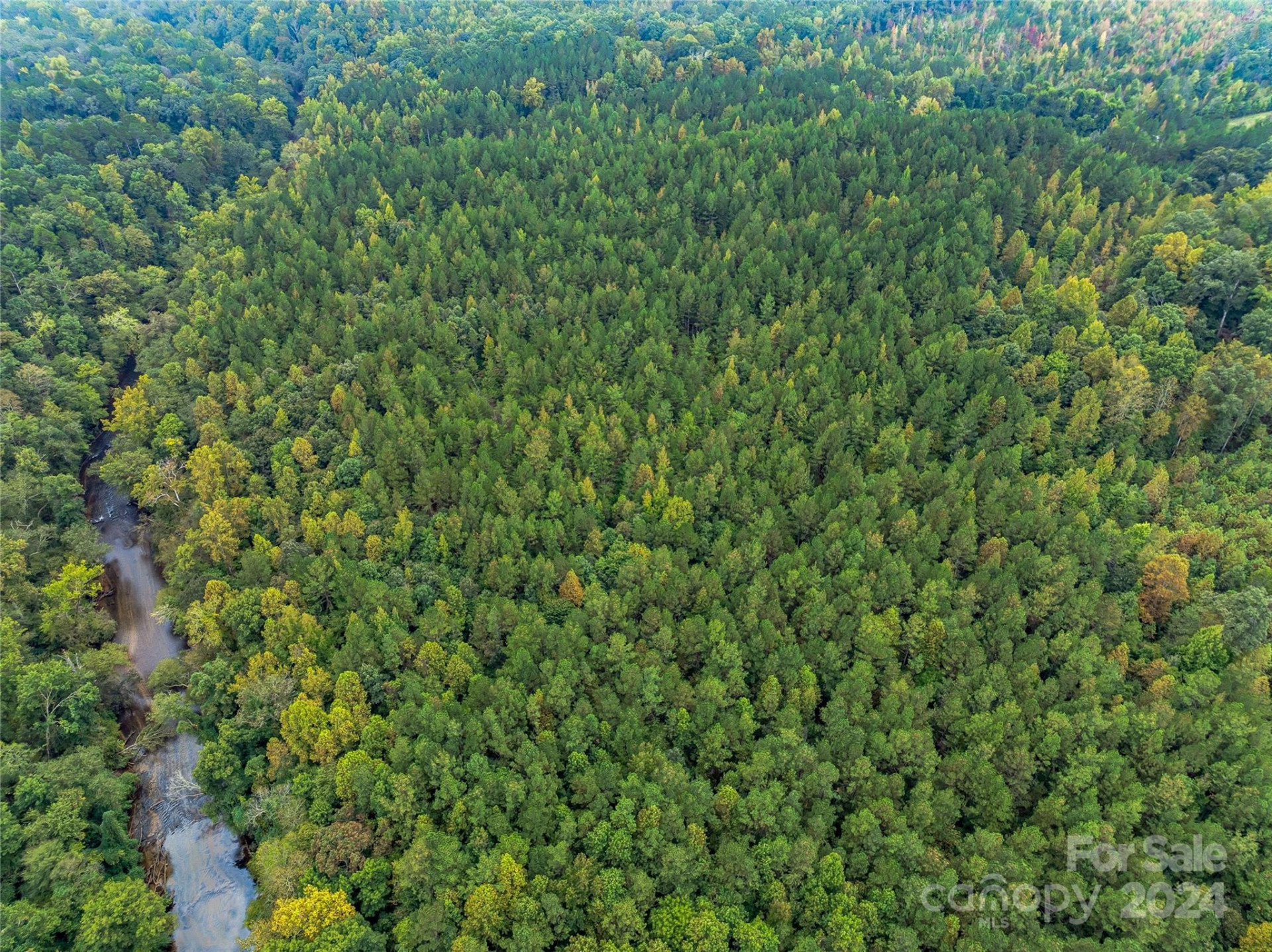 +/- 53 acres John Watson Road - Photo 5