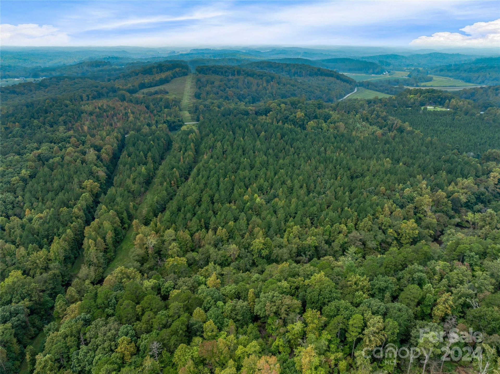 +/- 53 acres John Watson Road - Photo 7