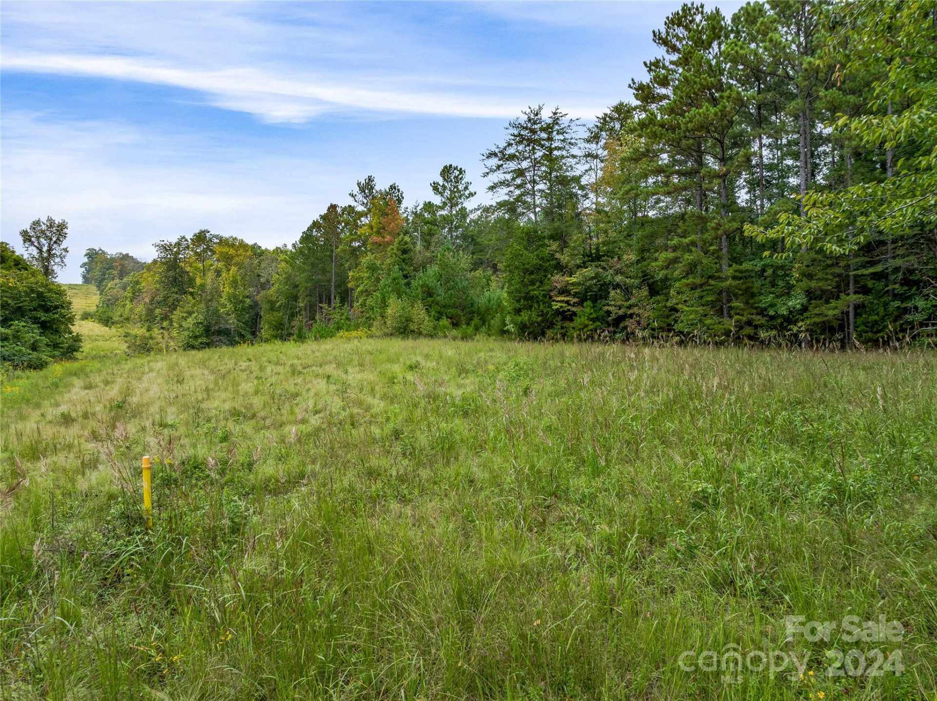+/- 53 acres John Watson Road - Photo 8
