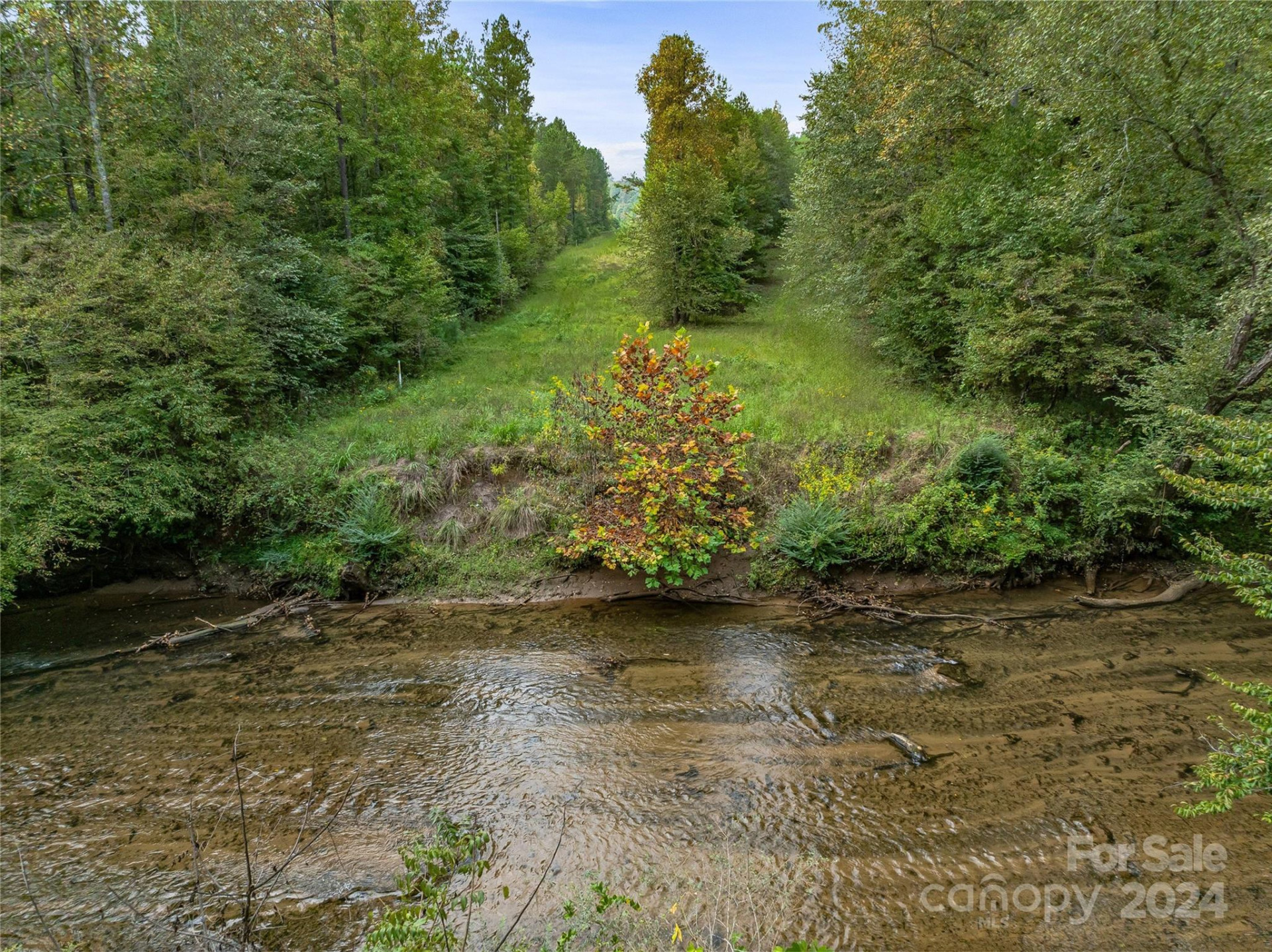 +/- 53 acres John Watson Road - Photo 9