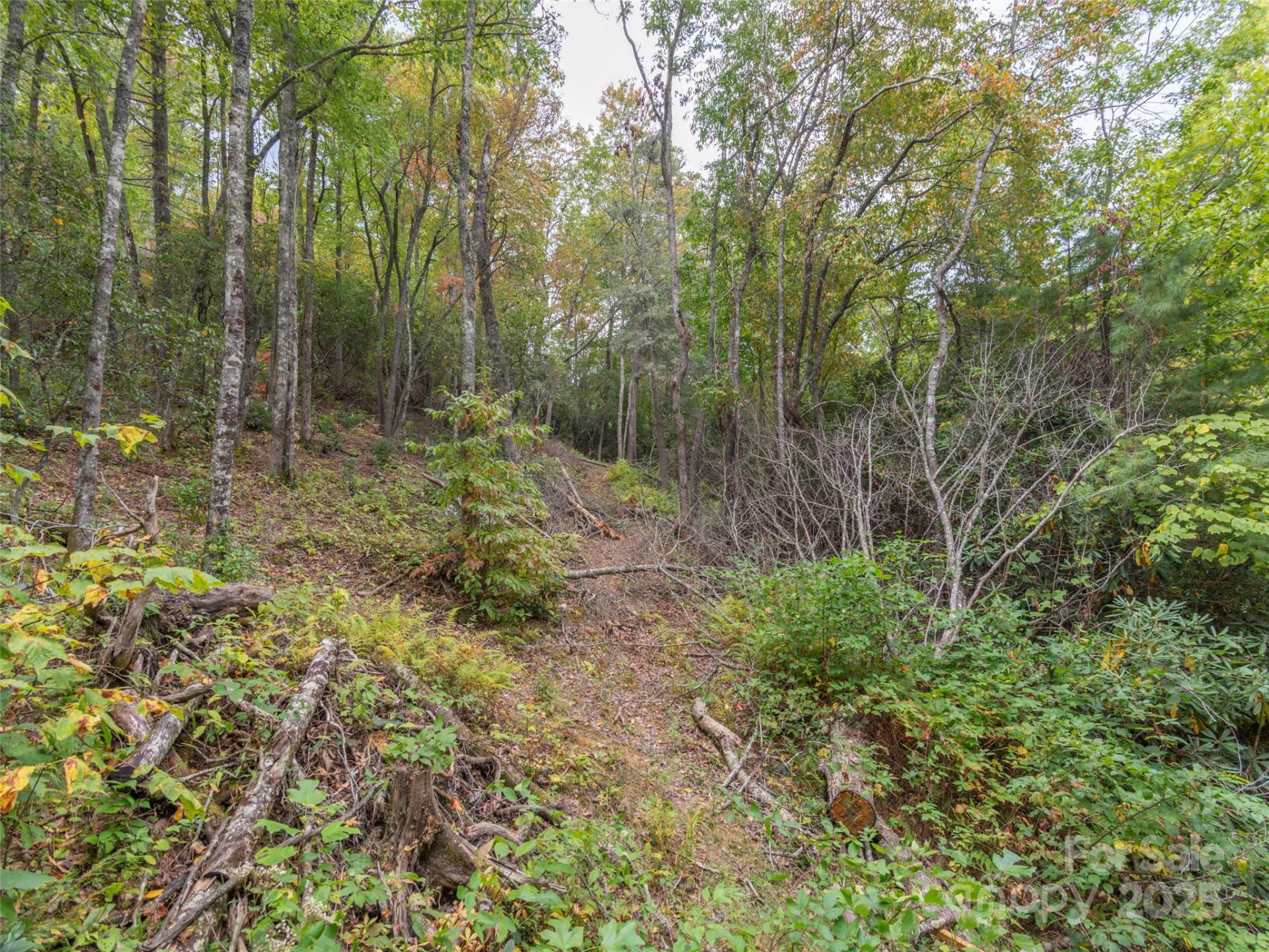 00 Keull Road - Photo 5