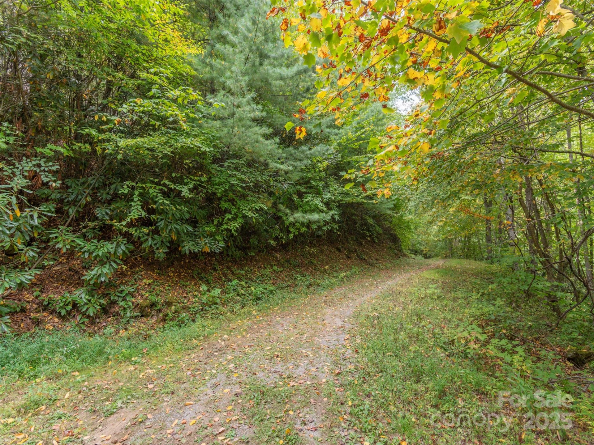 00 Keull Road - Photo 6