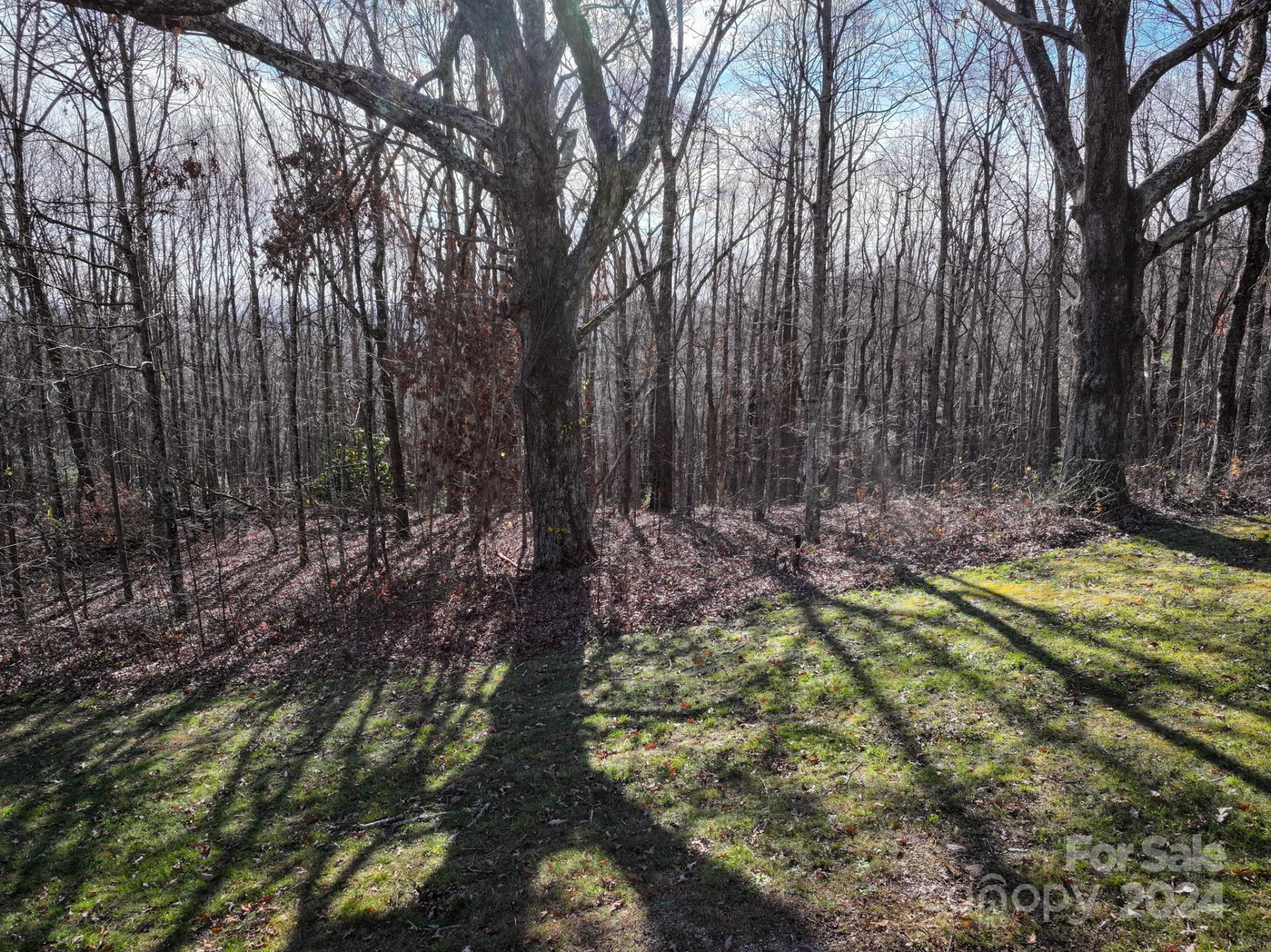 99999 Dancing Bear Drive #53 - Photo 4