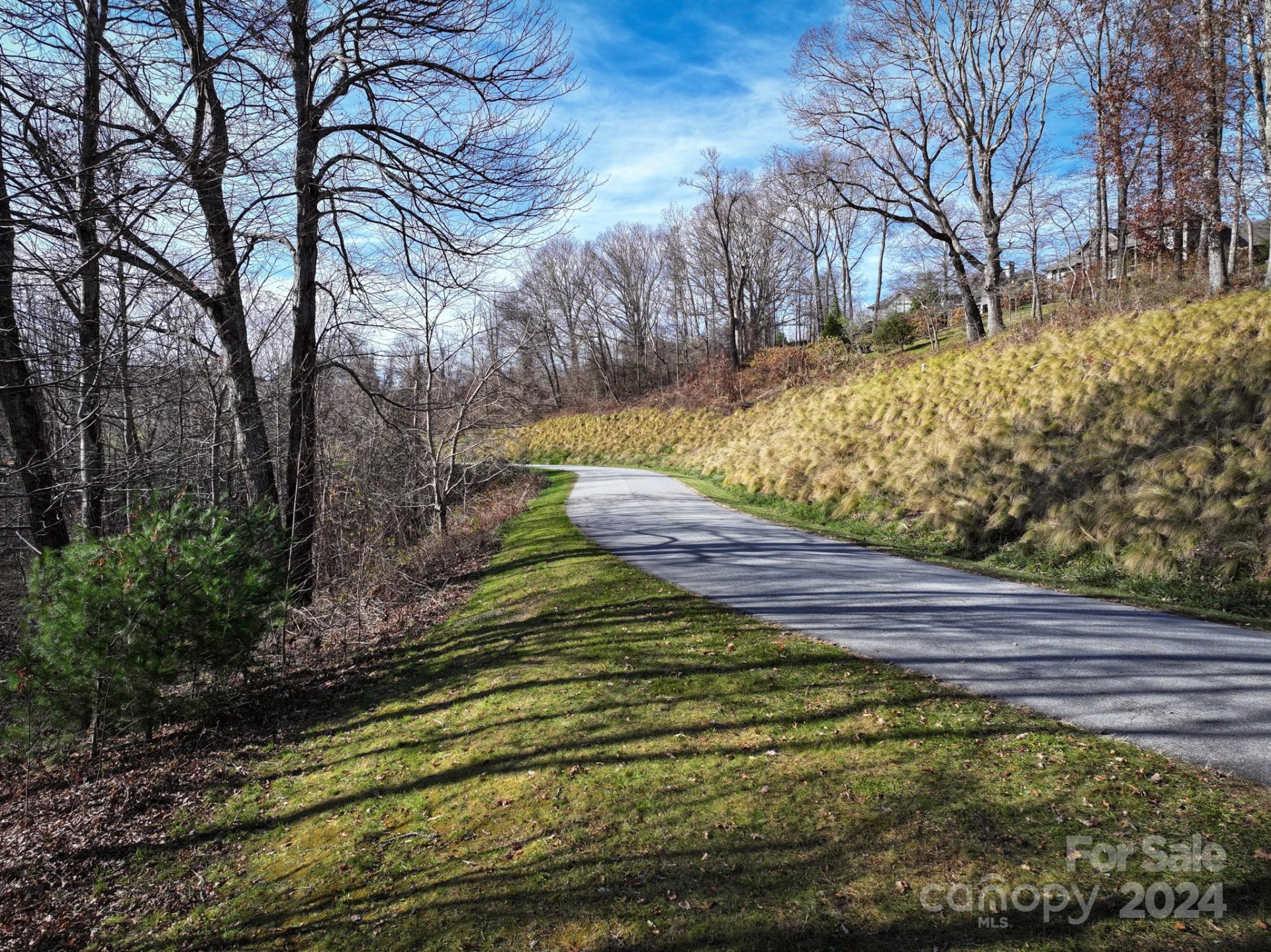 99999 Dancing Bear Drive #53 - Photo 5