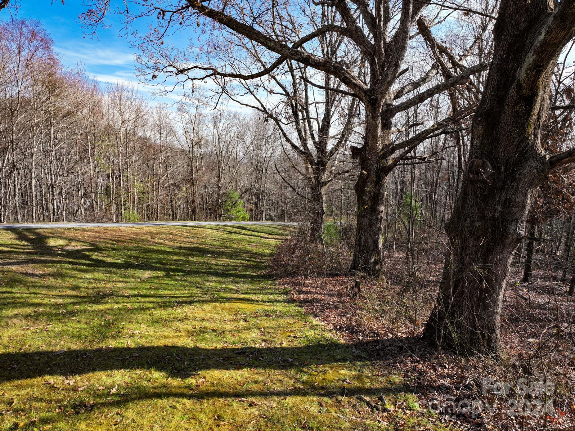 99999 Dancing Bear Drive #53 - Photo 6