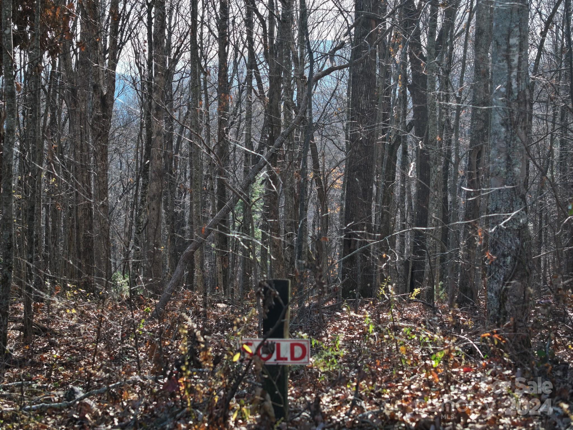 99999 Dancing Bear Drive #53 - Photo 7