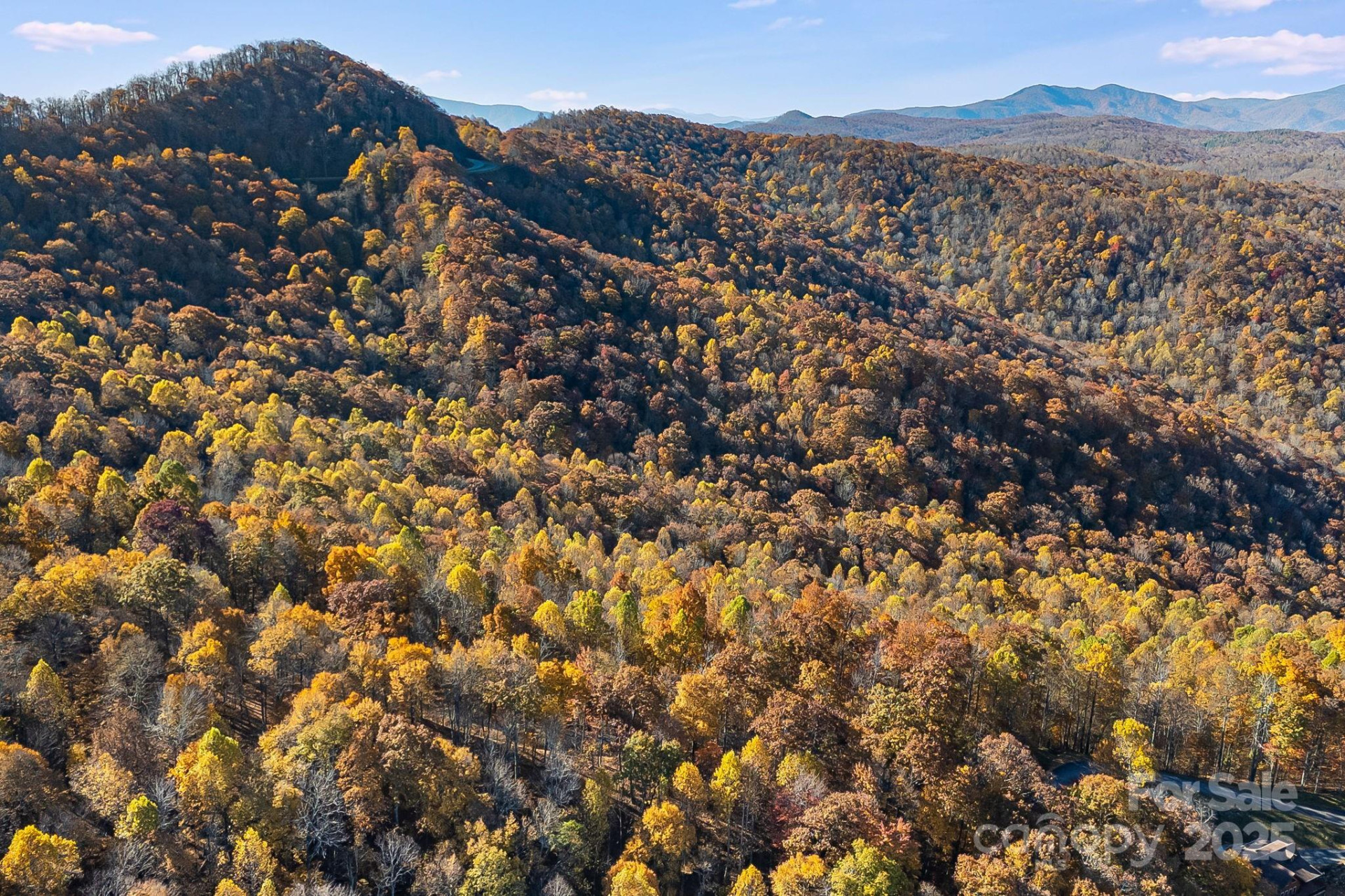 TBD Lot 103 Alderfly Court - Photo 11