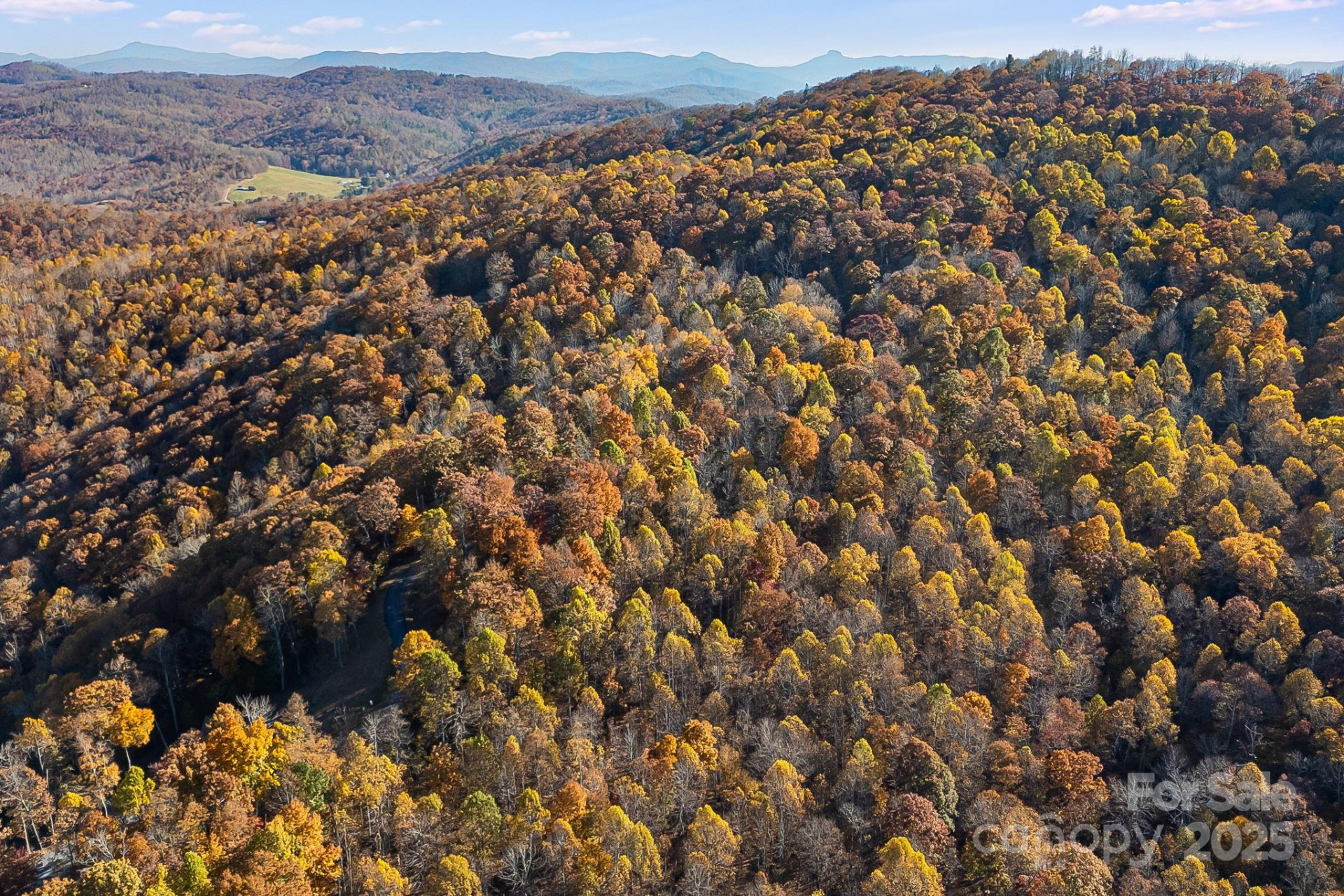 TBD Lot 103 Alderfly Court - Photo 14