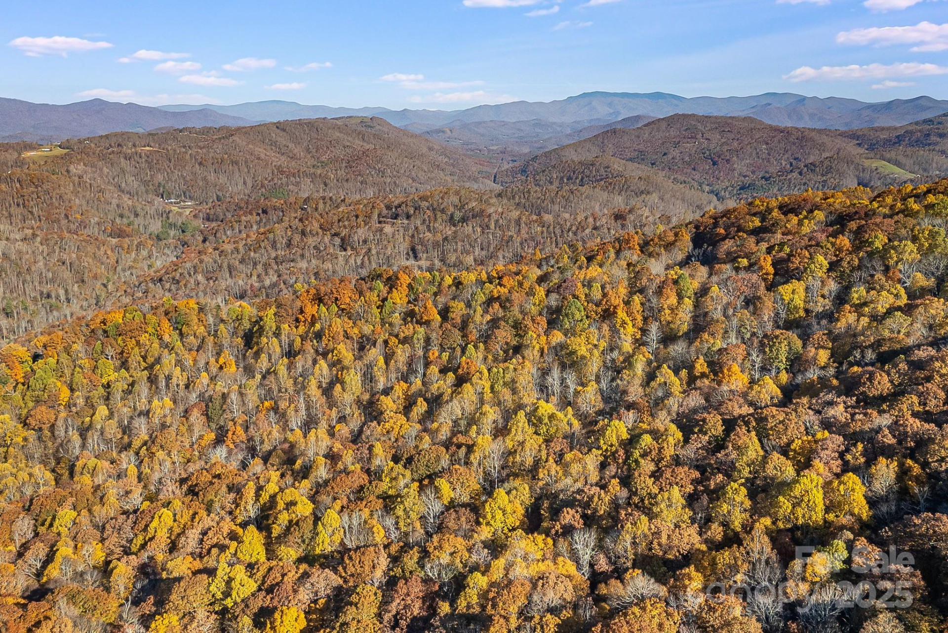 TBD Lot 103 Alderfly Court - Photo 16