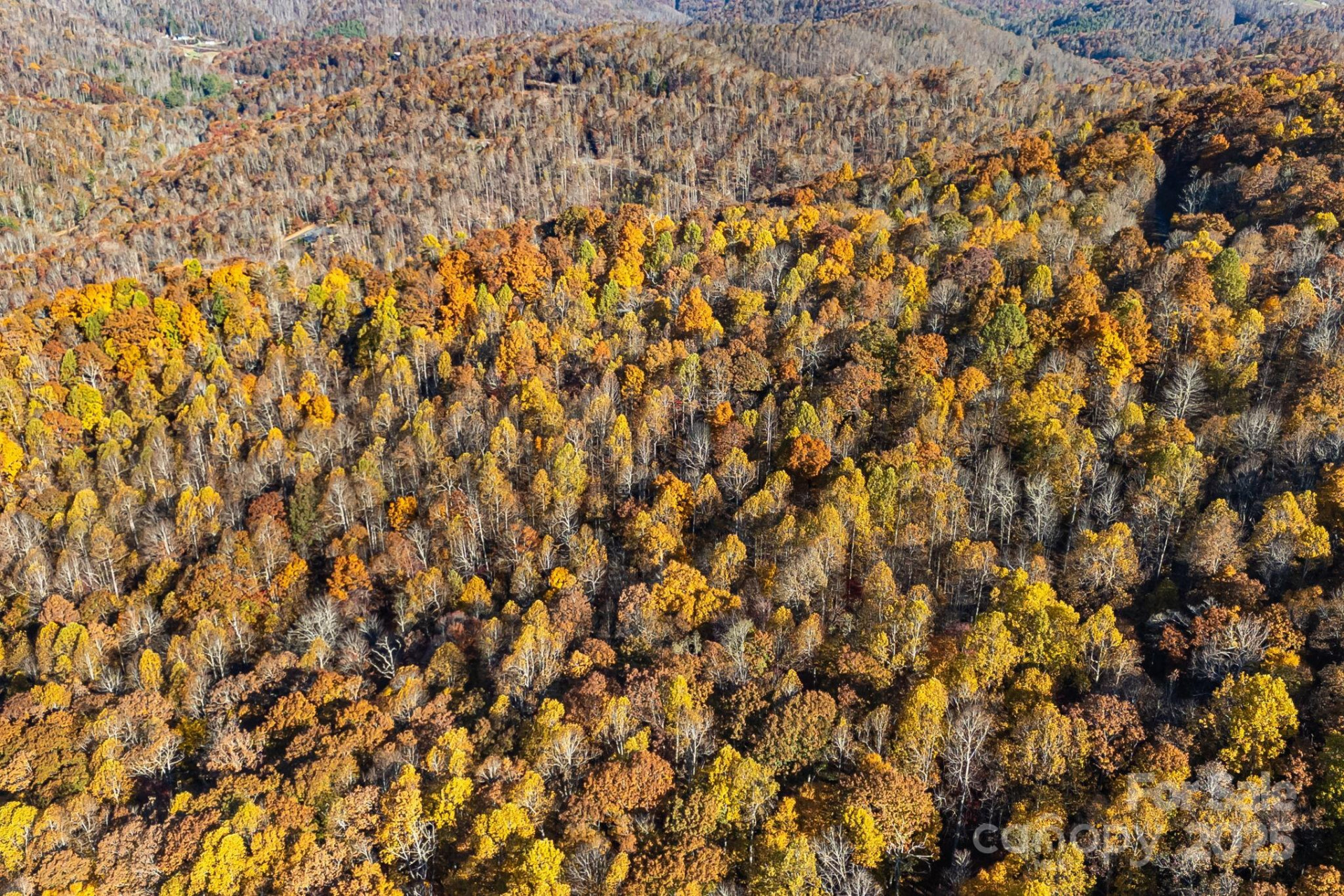 TBD Lot 103 Alderfly Court - Photo 17