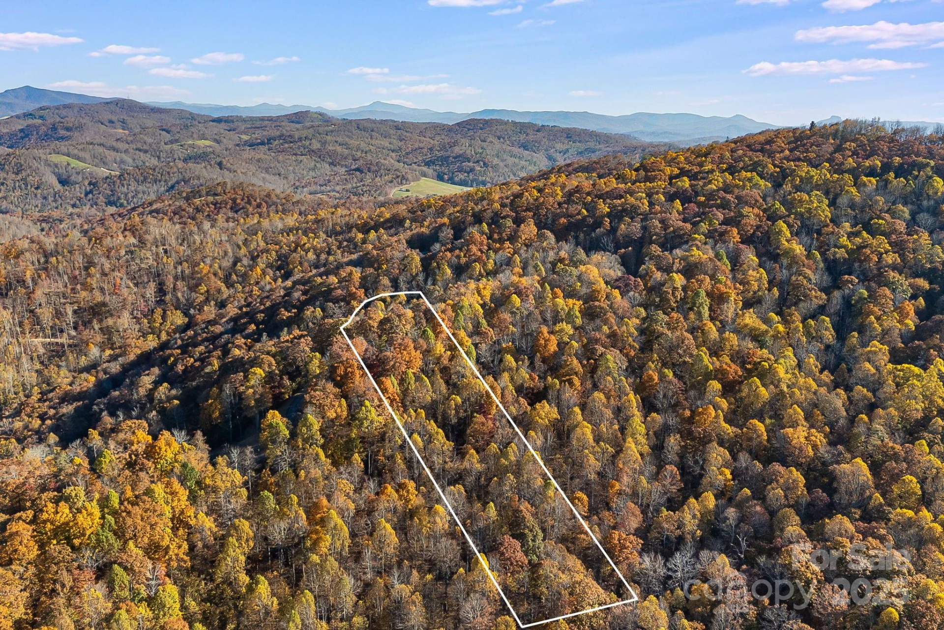 TBD Lot 103 Alderfly Court - Photo 3