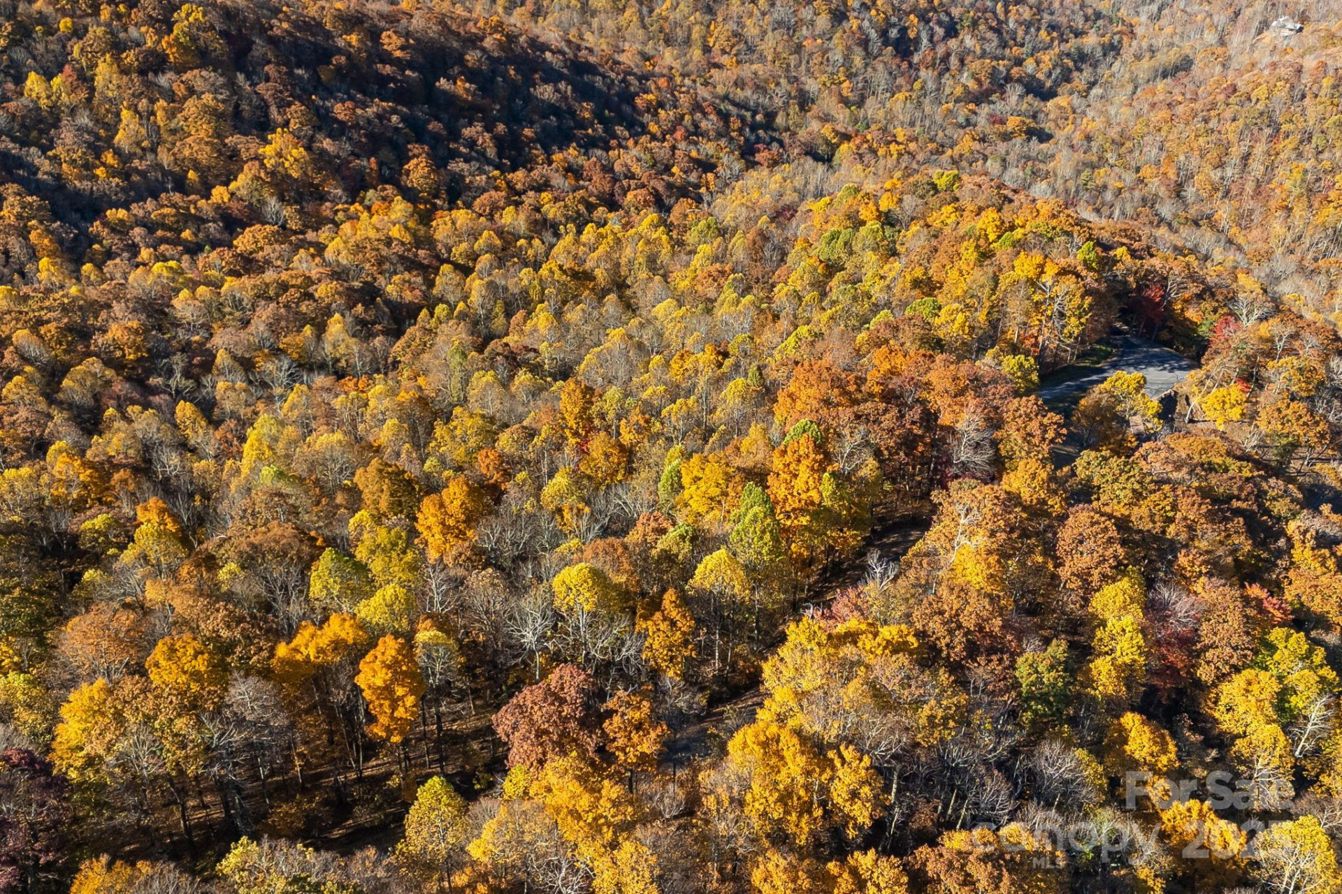 TBD Lot 103 Alderfly Court - Photo 22