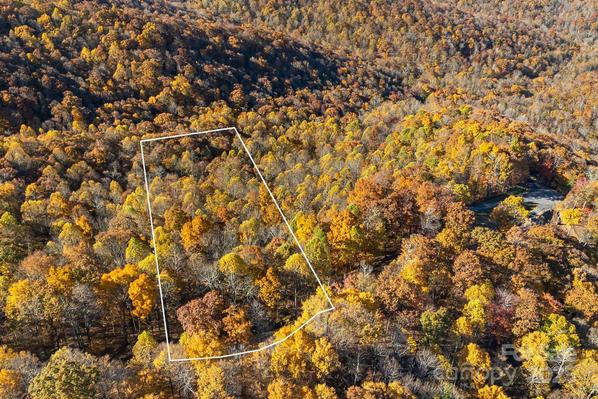 TBD Lot 103 Alderfly Court - Photo 4