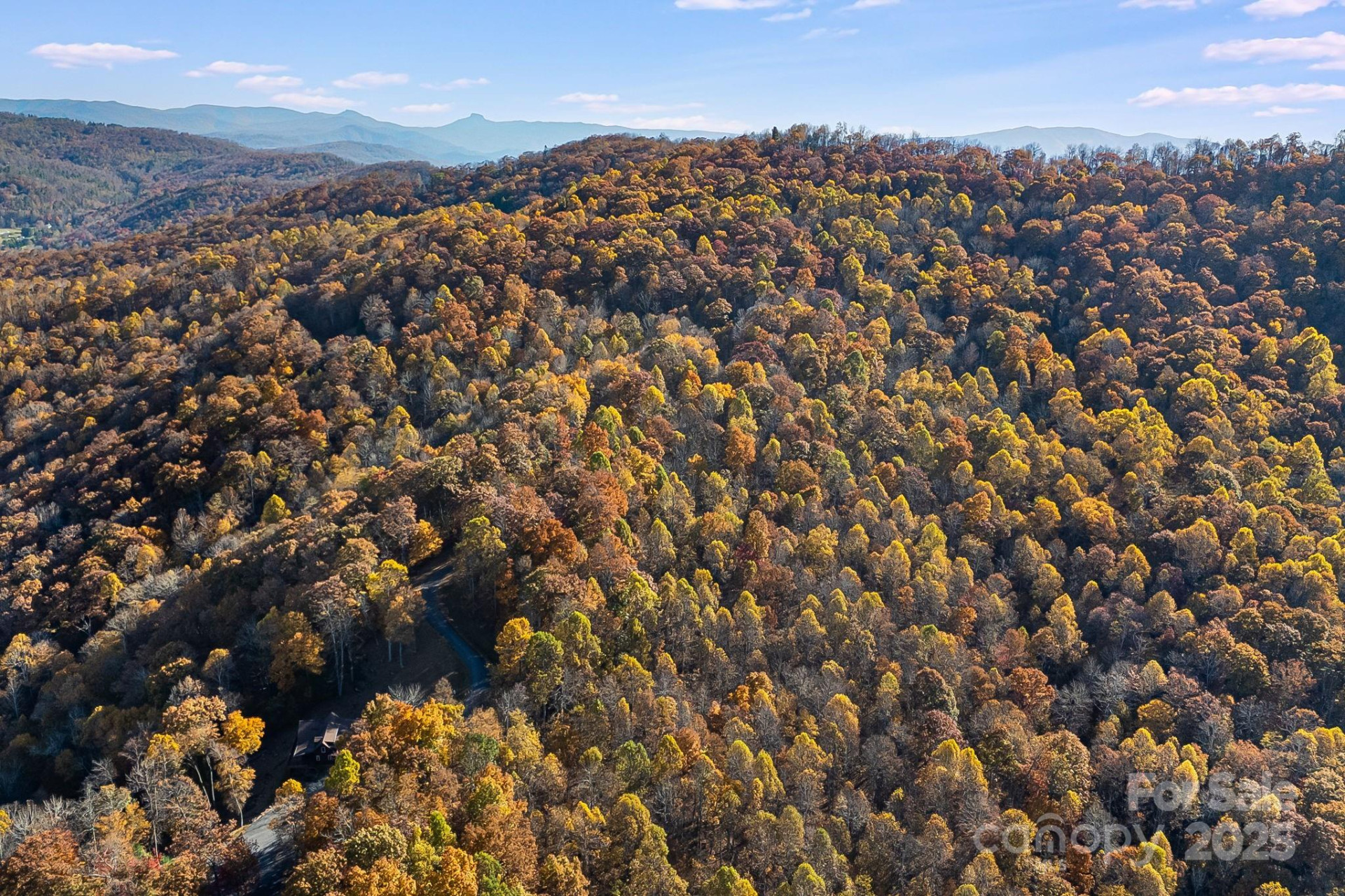 TBD Lot 103 Alderfly Court - Photo 9