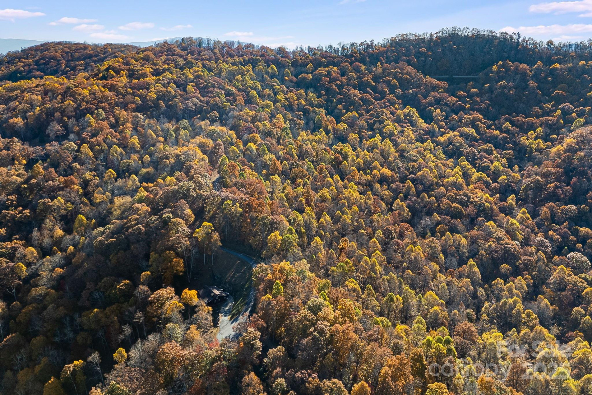 TBD Lot 103 Alderfly Court - Photo 10