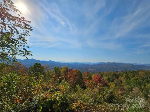 9999 Barn Cove Road, Clyde, NC, 28721