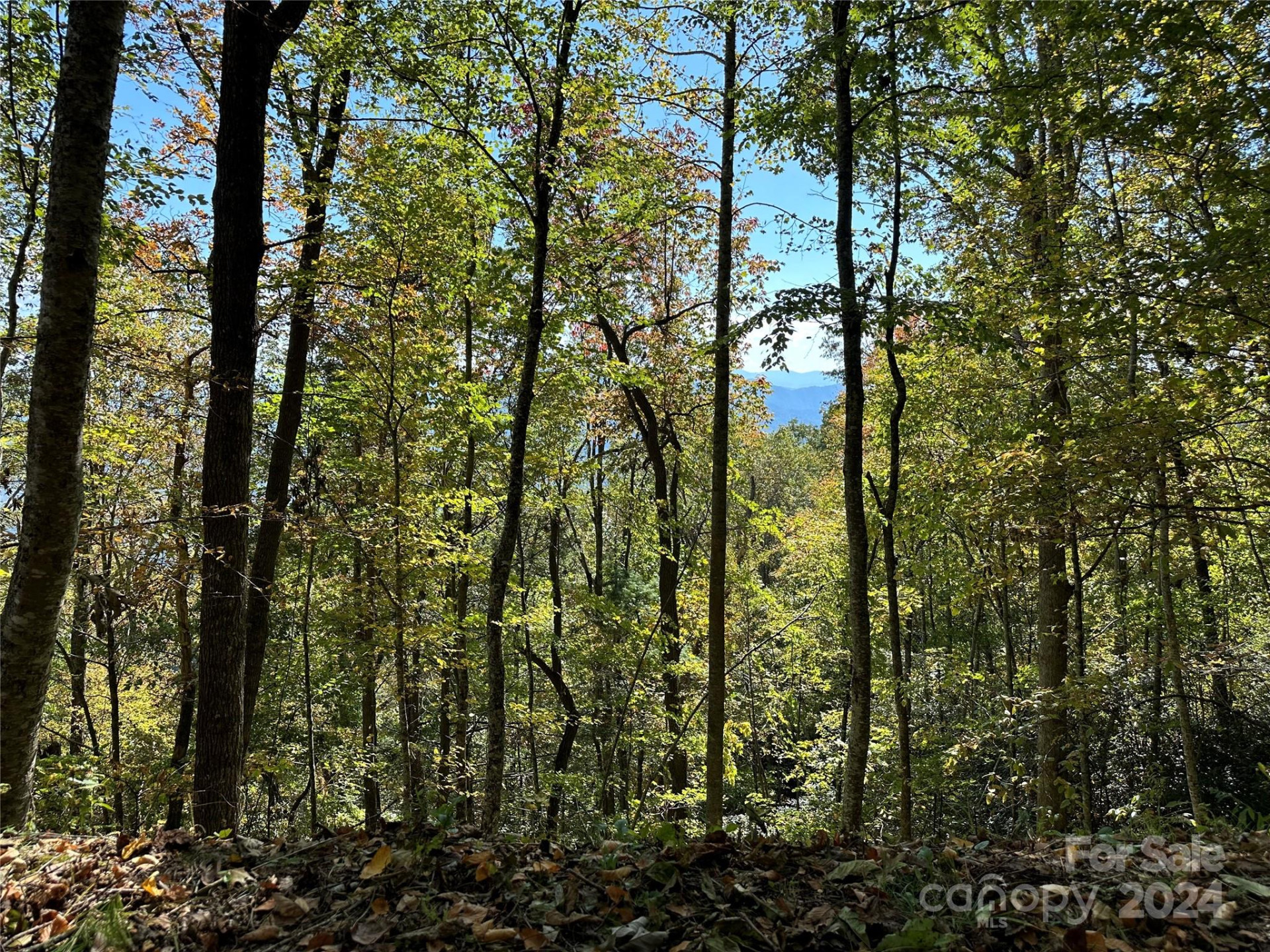 9999 Barn Cove Road - Photo 2