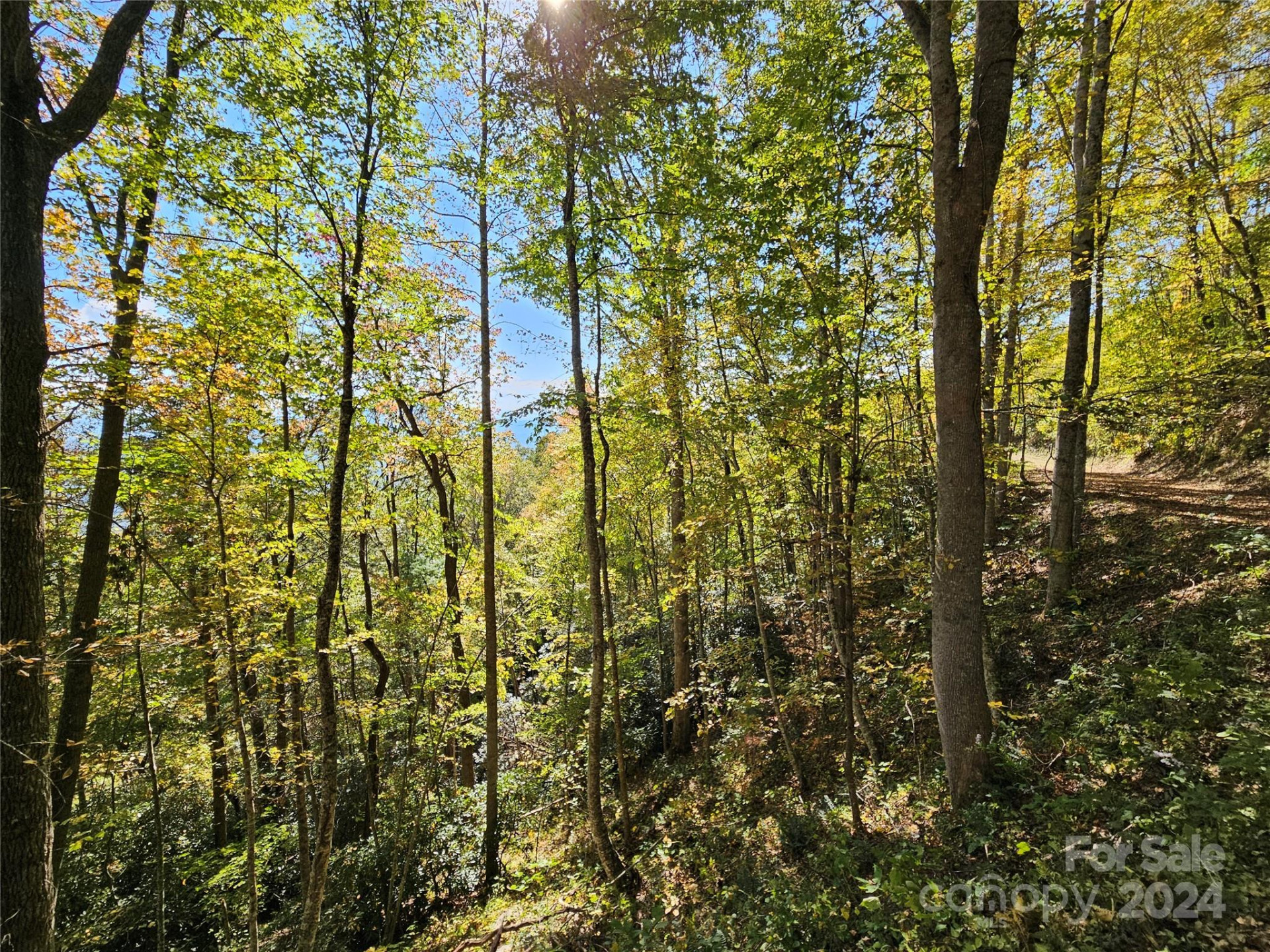 9999 Barn Cove Road - Photo 3