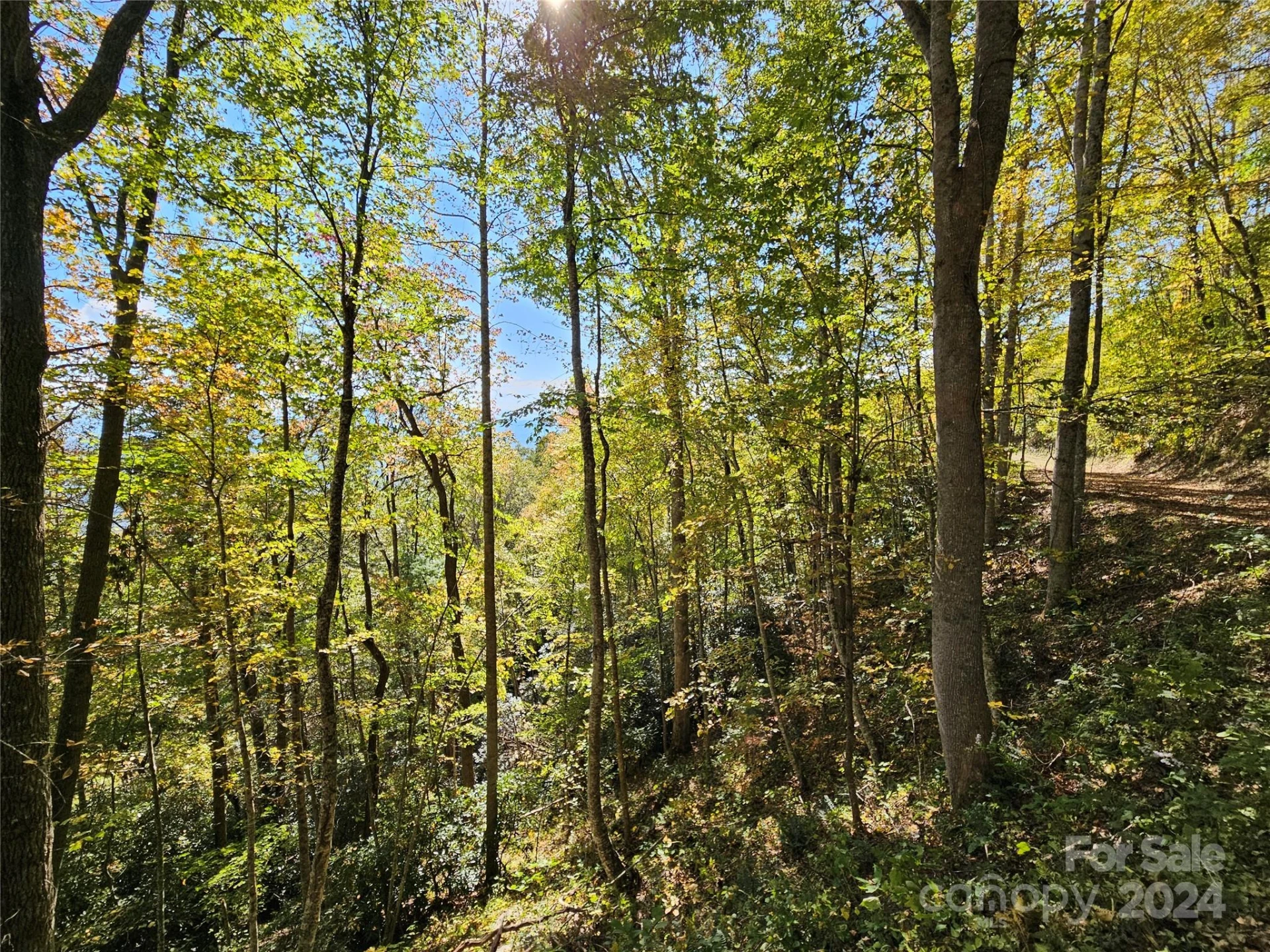 9999 Barn Cove Road - Photo 3