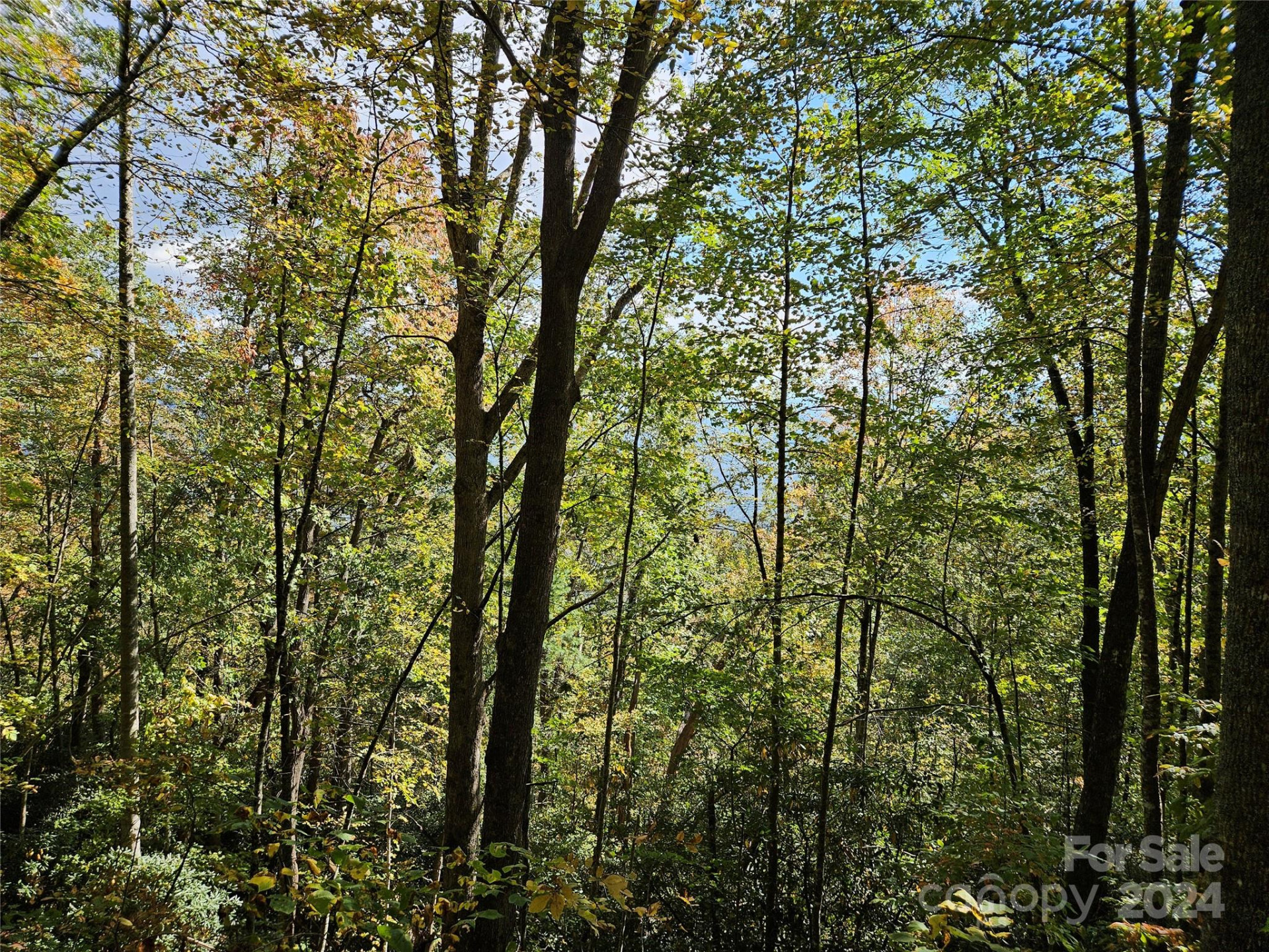 9999 Barn Cove Road - Photo 4