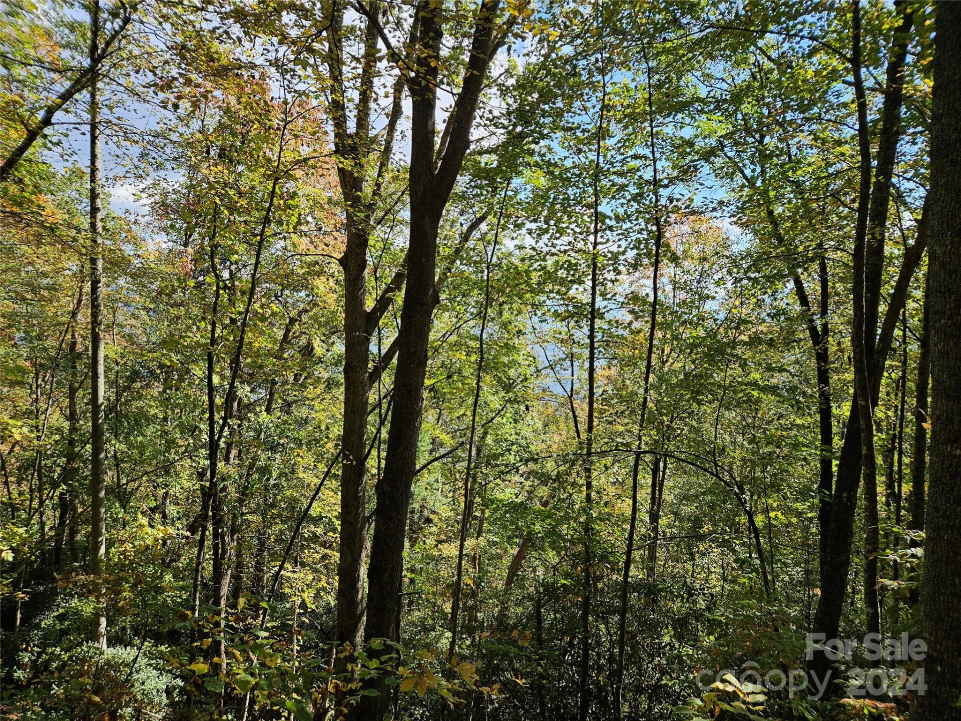 9999 Barn Cove Road - Photo 4