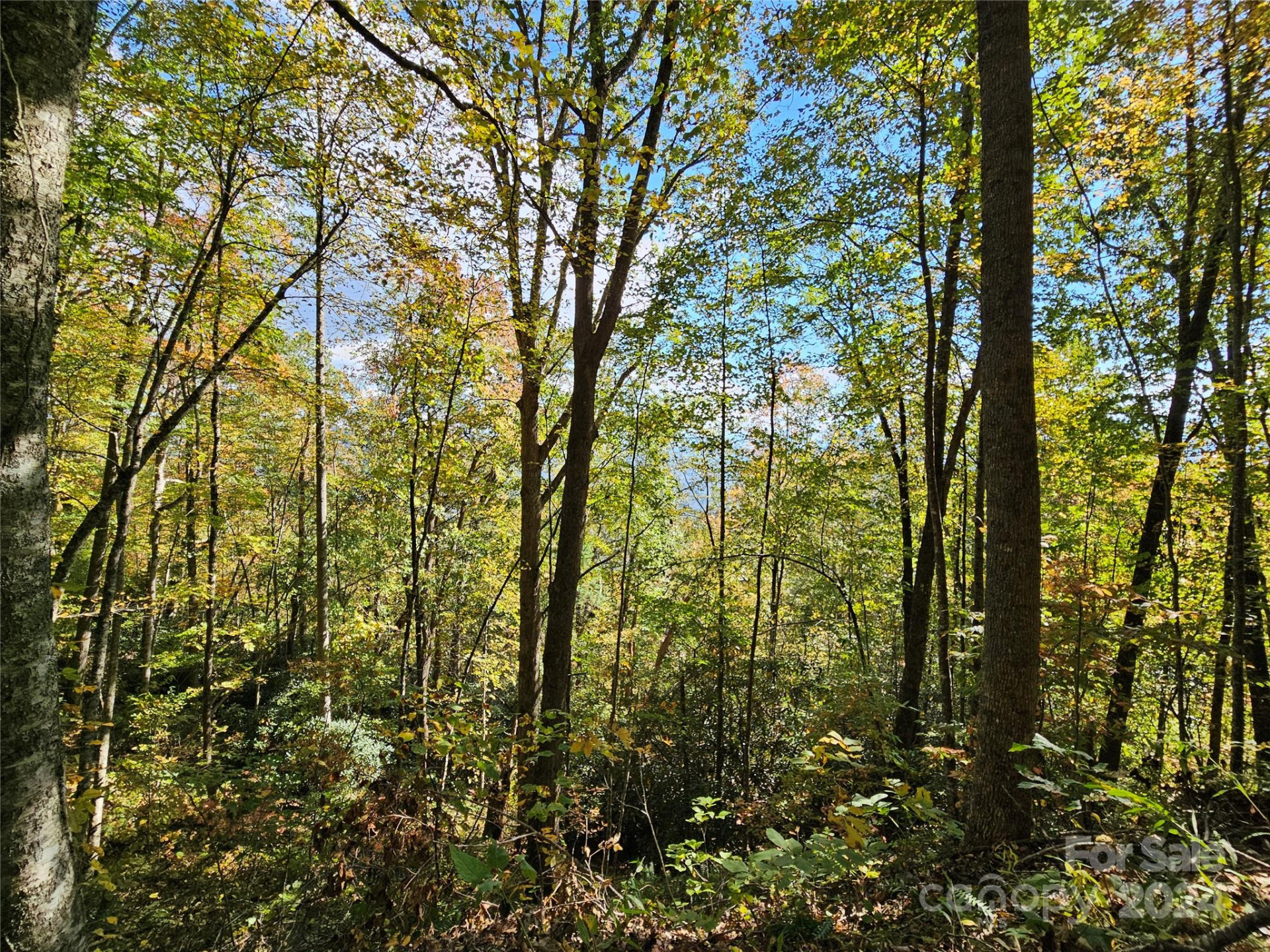 9999 Barn Cove Road - Photo 5