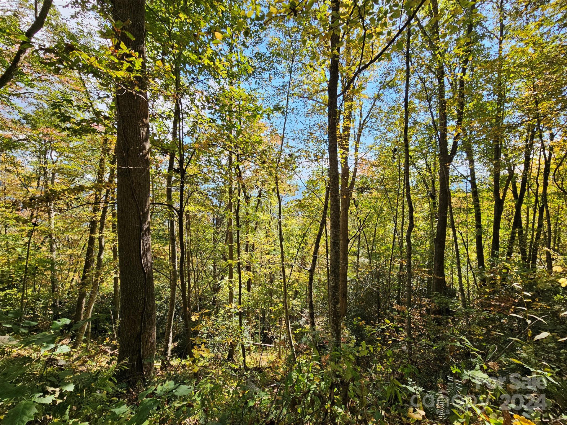 9999 Barn Cove Road - Photo 6