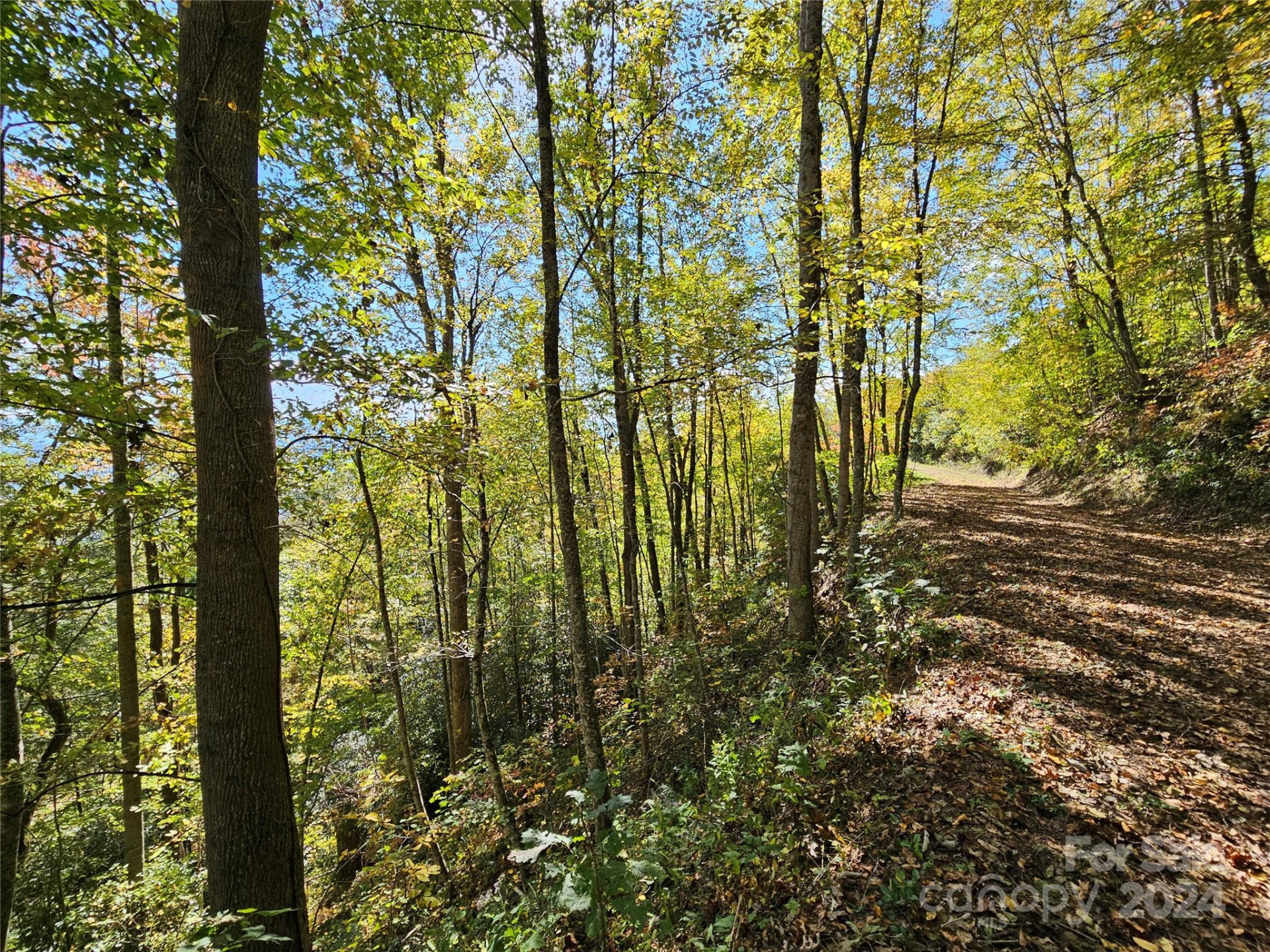 9999 Barn Cove Road - Photo 7