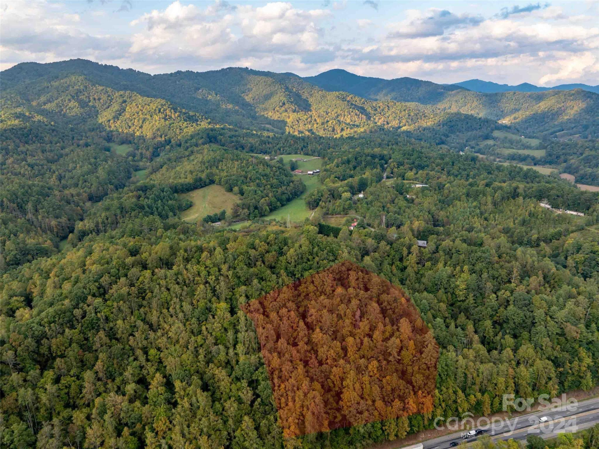 00 Mountain Mission Road - Photo 2