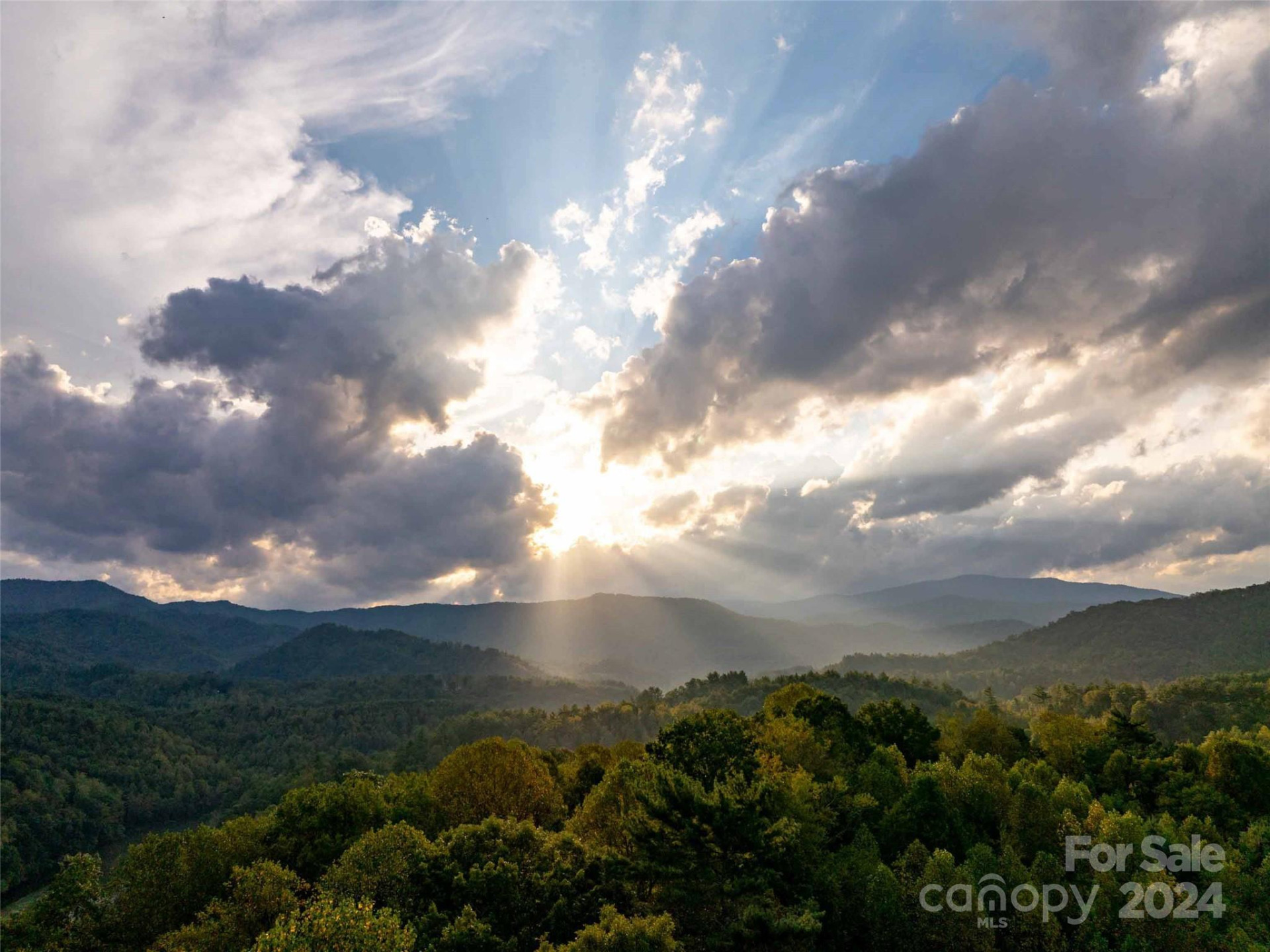 00 Mountain Mission Road - Photo 4