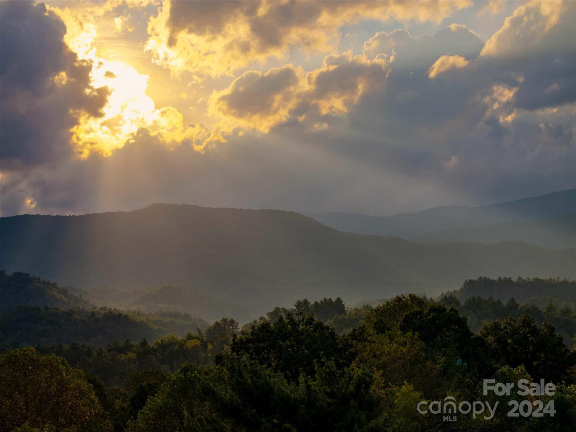 00 Mountain Mission Road - Photo 6