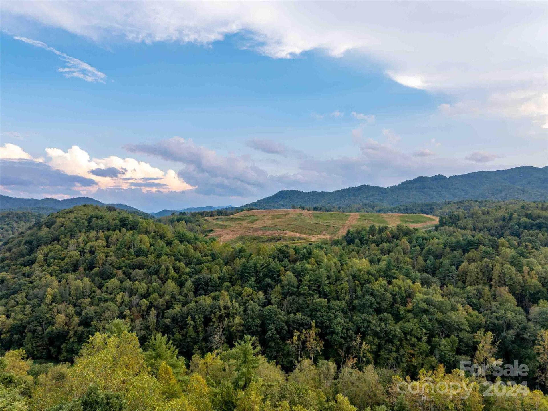 00 Mountain Mission Road - Photo 10