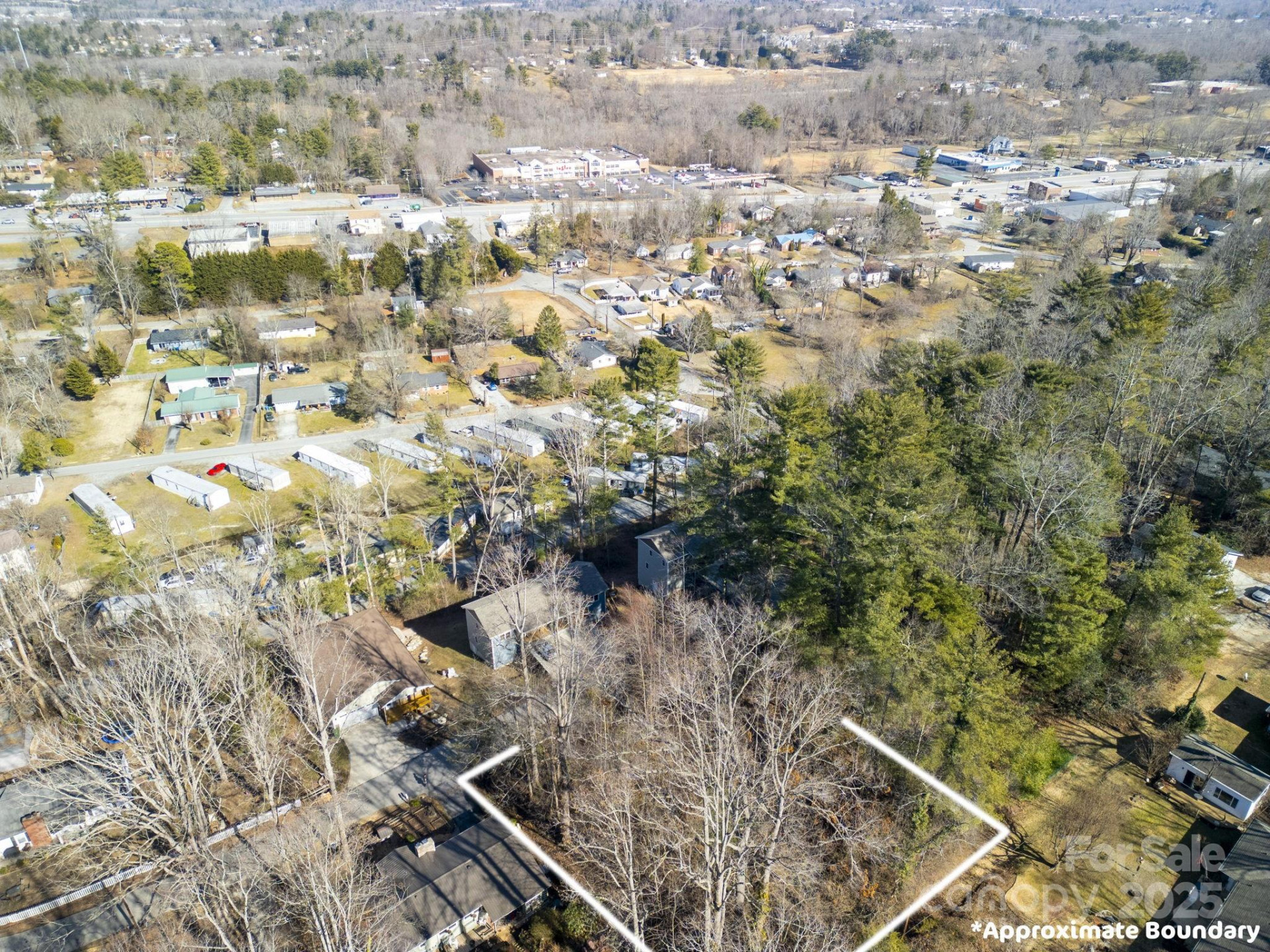 00 Upper Ridgewood Boulevard - Photo 8