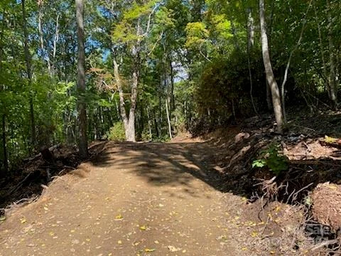 Lot G42 Odalu Trail #G42