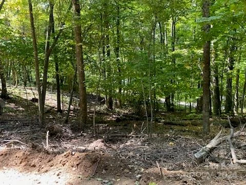 Lot G42 Odalu Trail #G42 - Photo 2