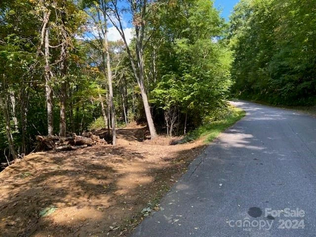 Lot G42 Odalu Trail #G42 - Photo 3