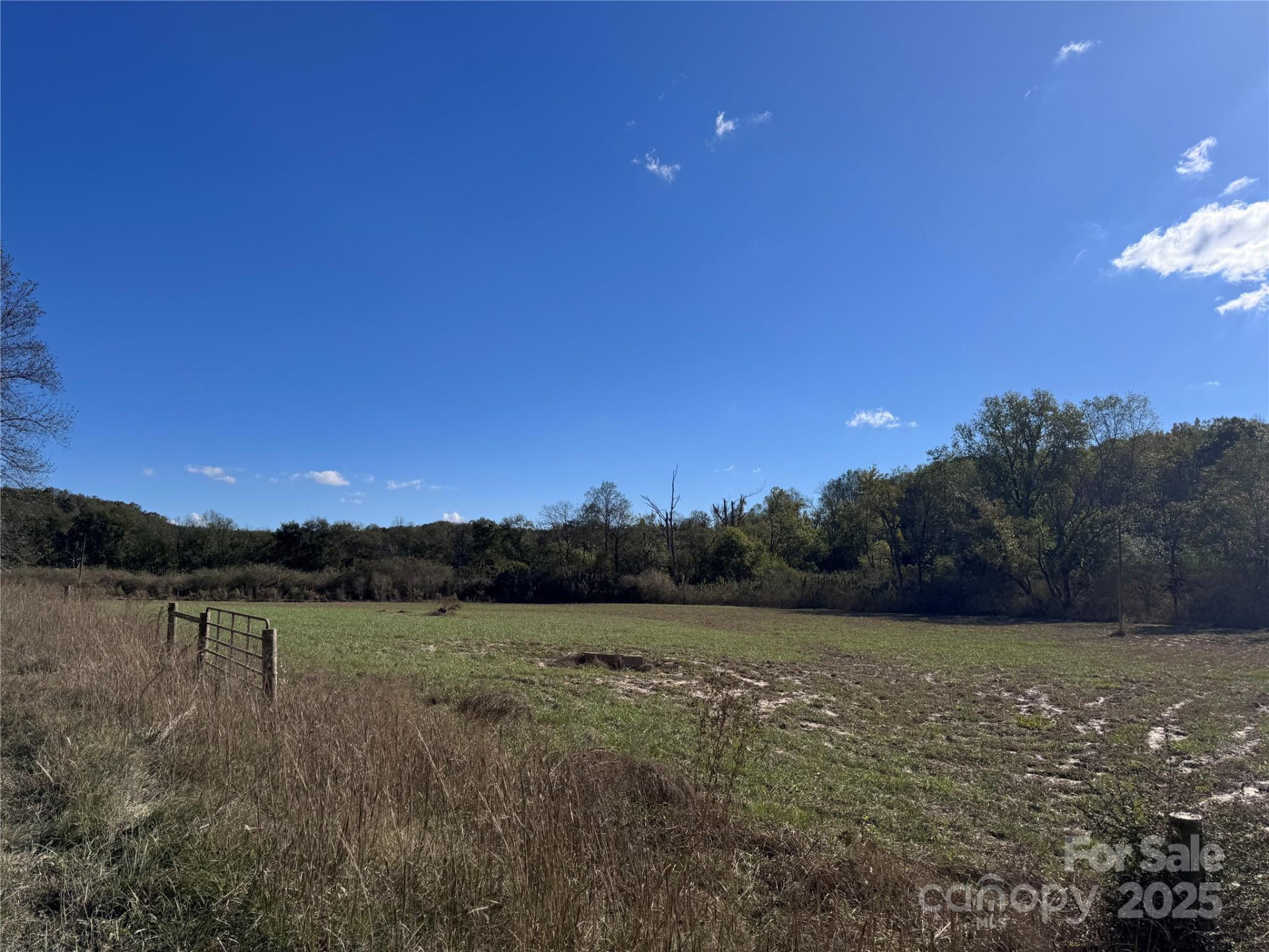 0 Abrams & Moore Road - Photo 3