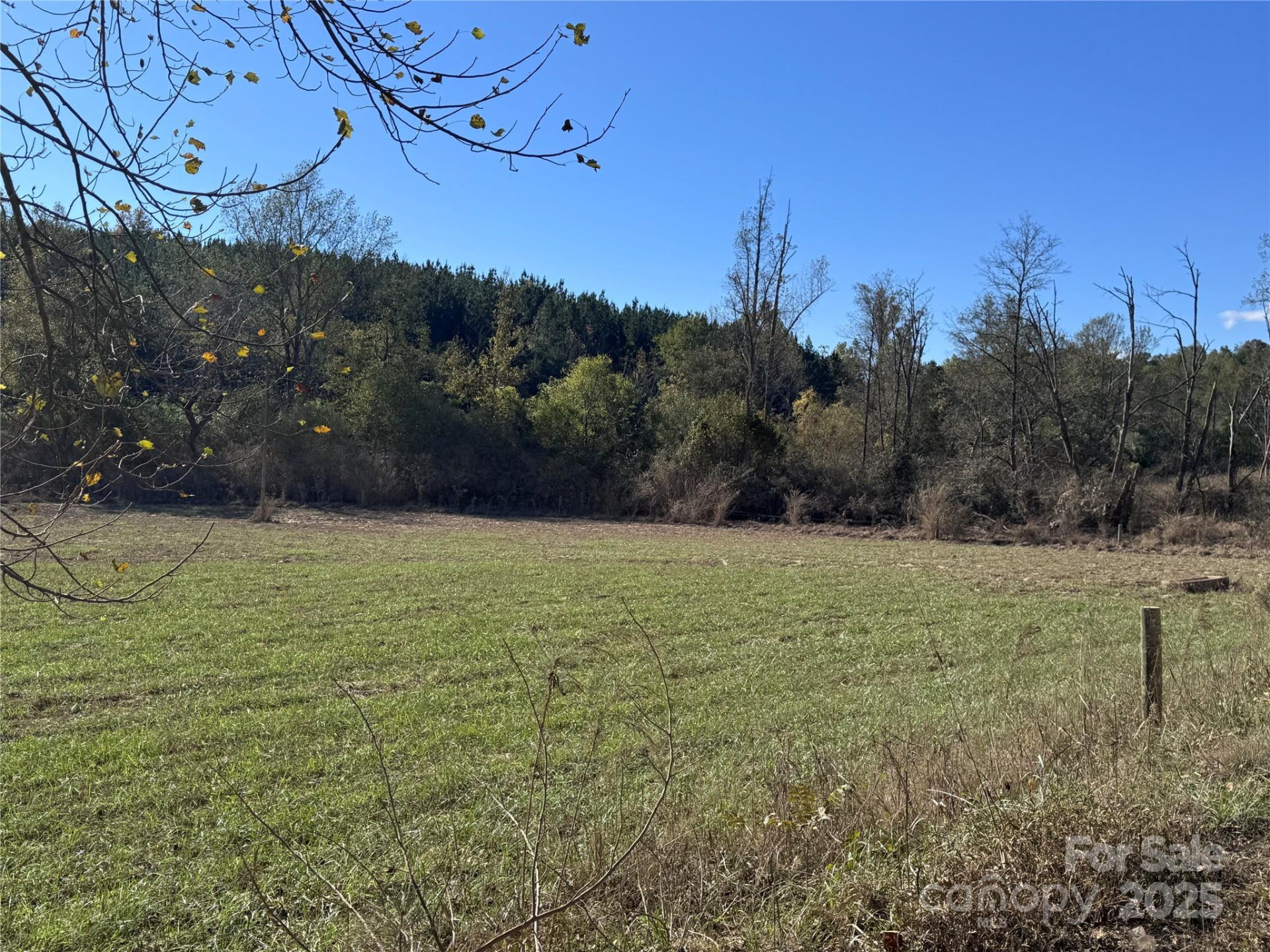 0 Abrams & Moore Road - Photo 4