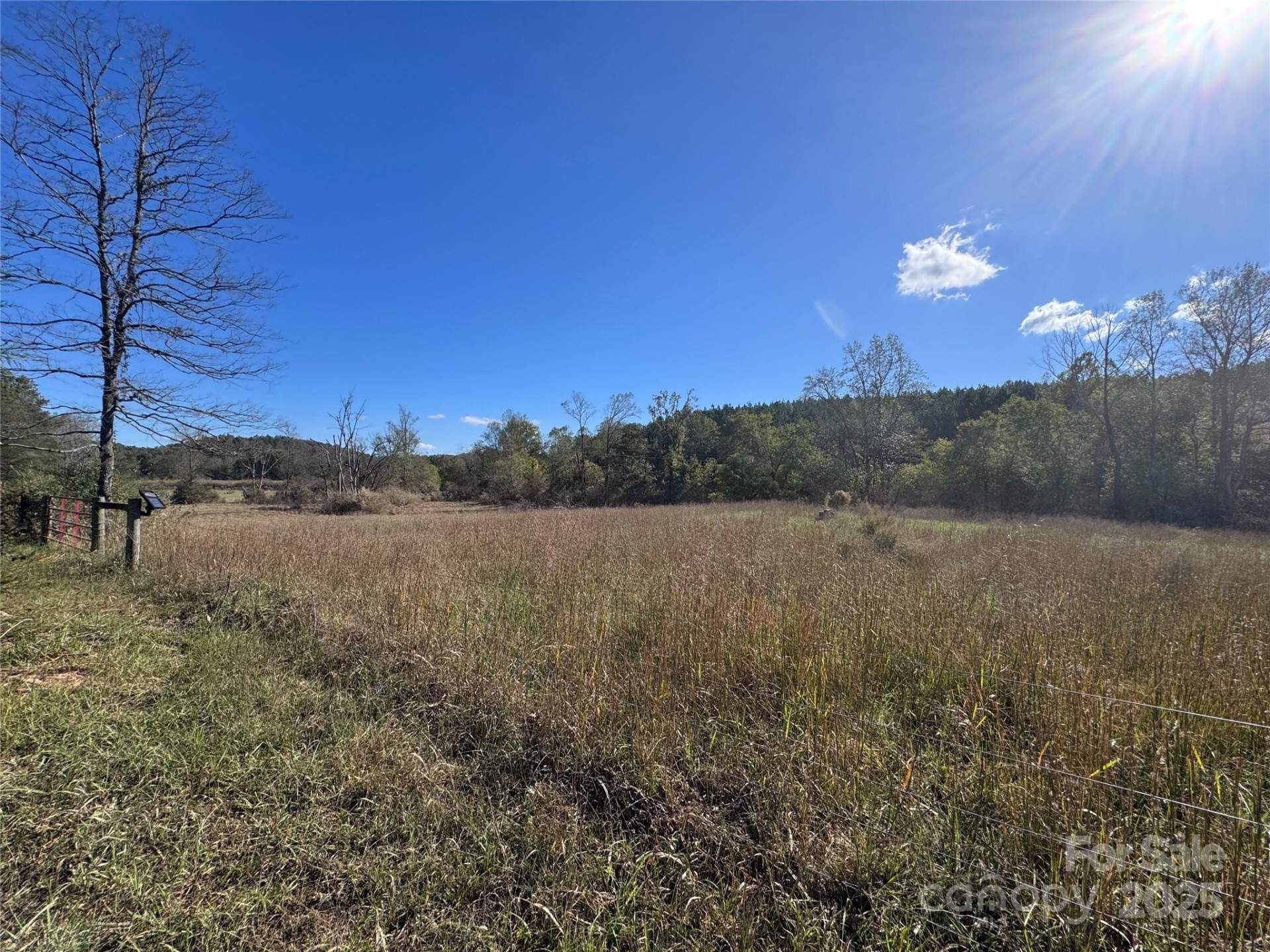 0 Abrams & Moore Road - Photo 6